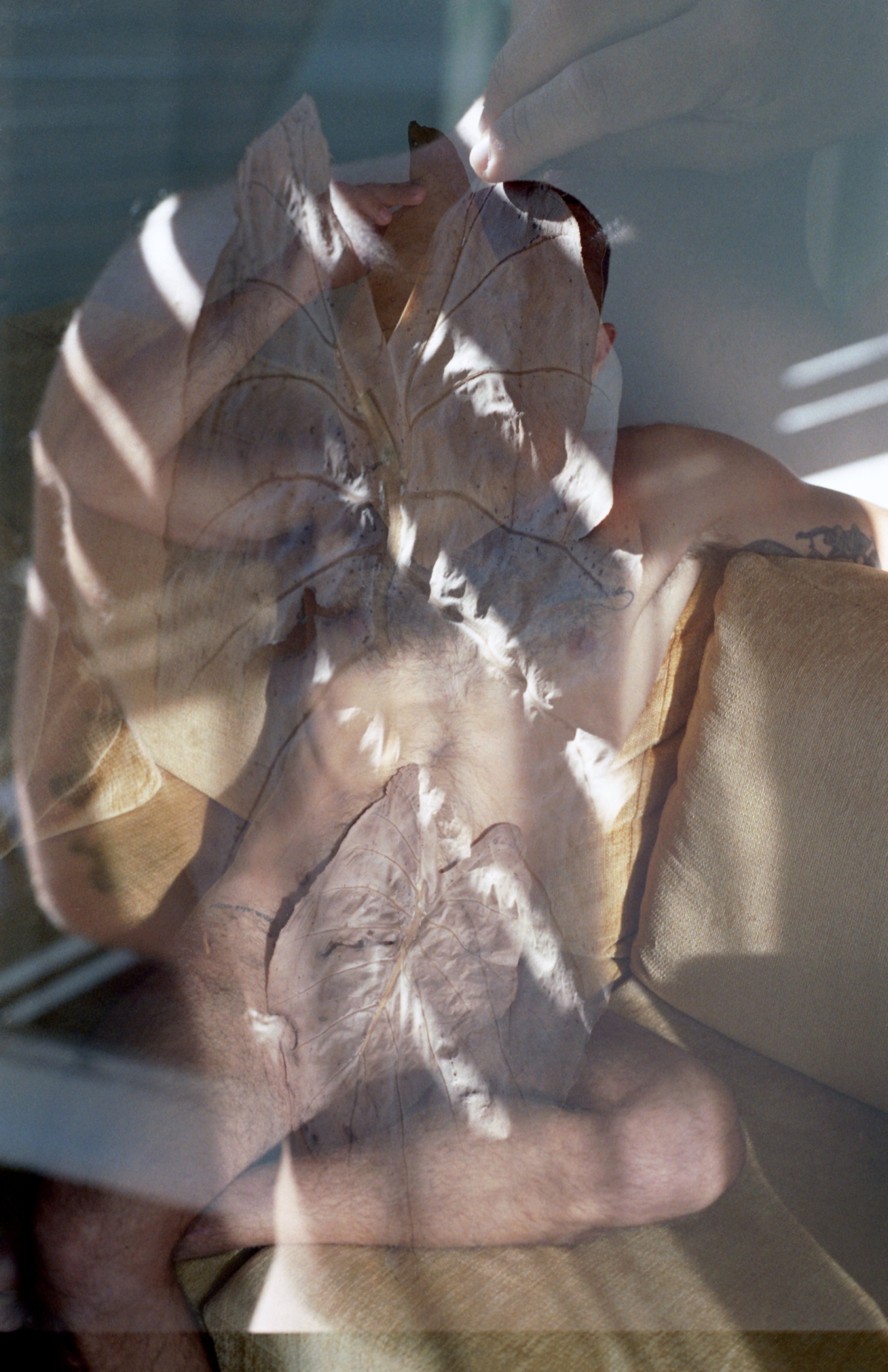 Evà Papadakis: fotografies & poihsh 