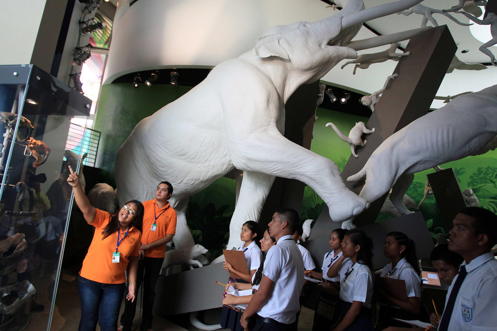 Εσωτερική άποψη του Biomuseum στον Παναμά © EPA/Alejandro Bolivar