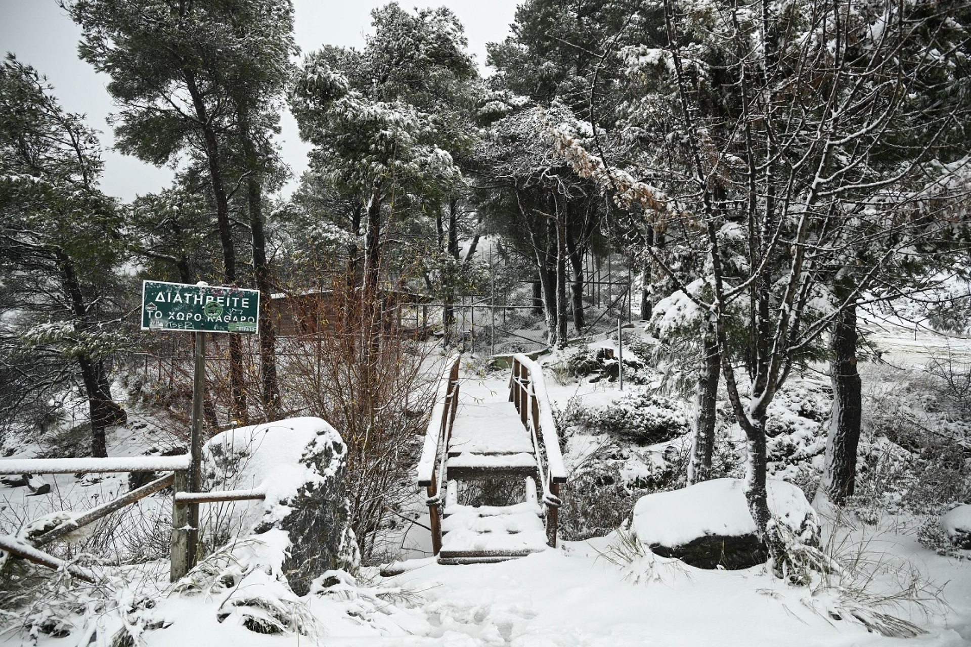 Κακοκαιρία Avgi: Το χιόνι σκέπασε περιοχές της Αττικής και της υπόλοιπης Ελλάδας - Παραμυθένια πλάνα κατέγραψε ο φακός των φωτογραφικών πρακτορείων. 