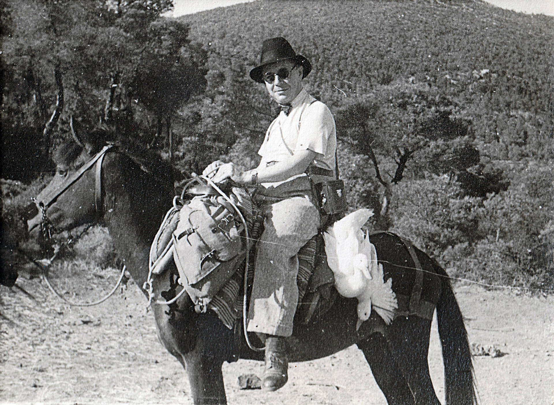 Ο Rene Boisseau πάνω σε γαϊδουράκι με τα τρόπαιά του, δύο πάπιες, 1938