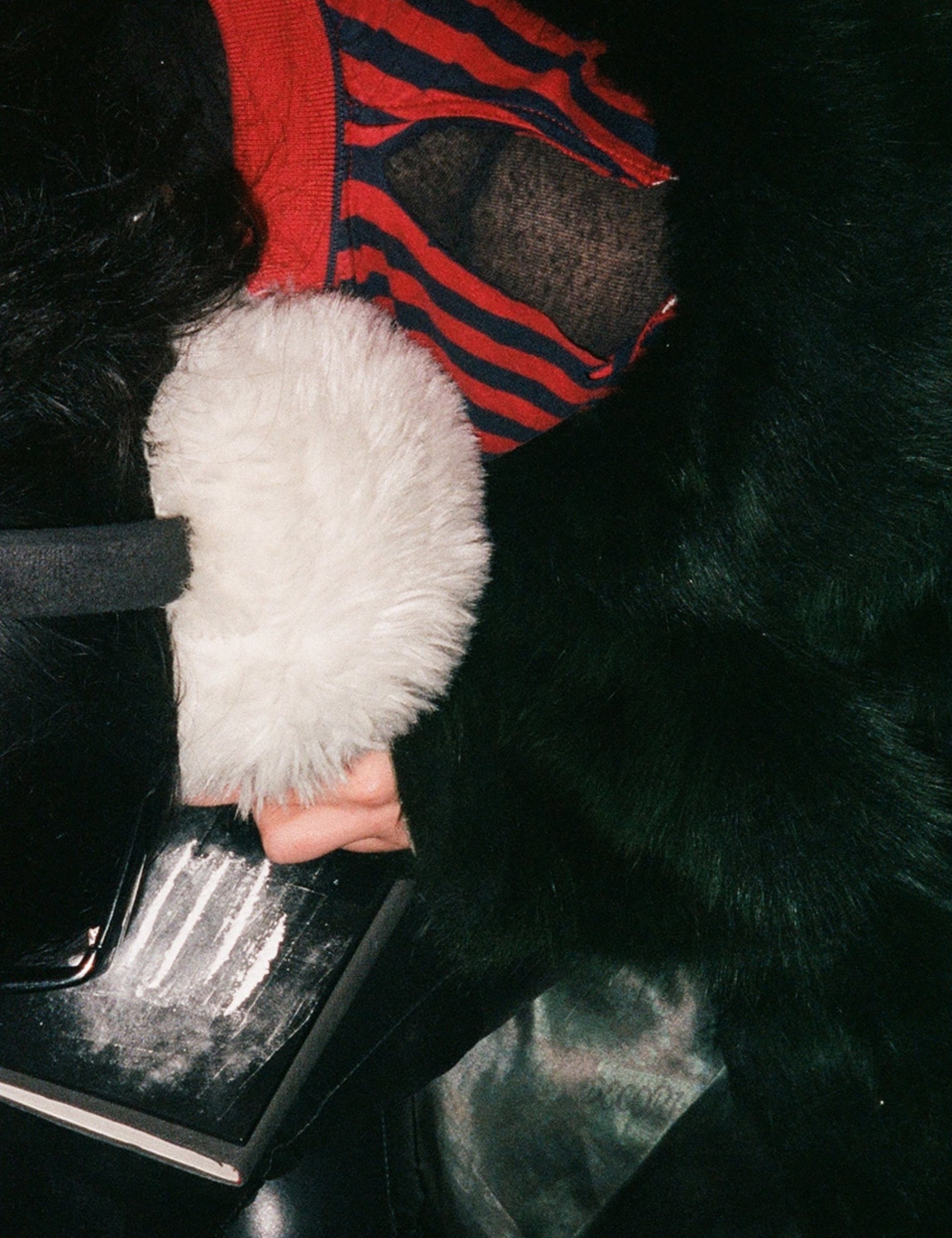 «This Is My Lifestyle»: Angus Scratch Green