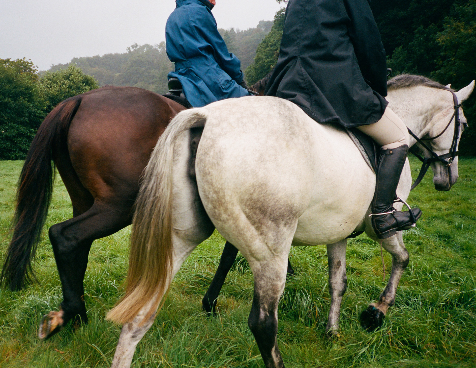 «This Is My Lifestyle»: Angus Scratch Green