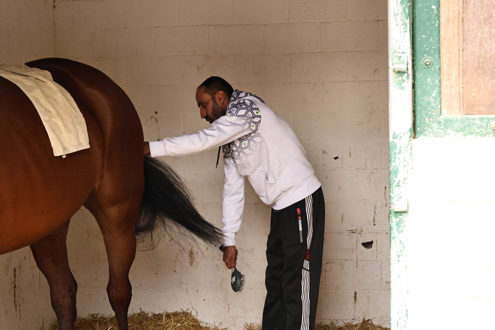 Ο ιπποκόμος