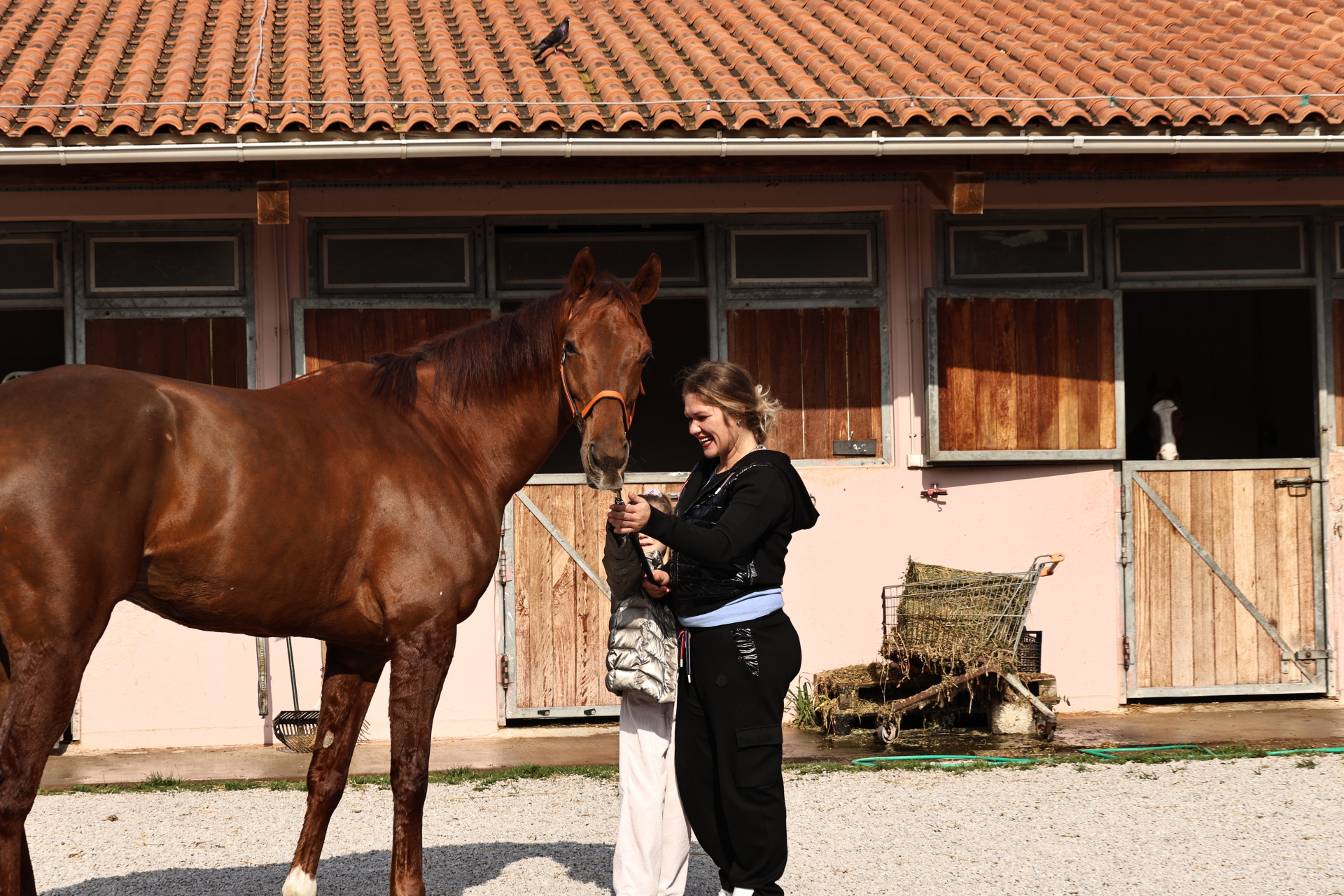 Οικογένεια που έχουν άλογα