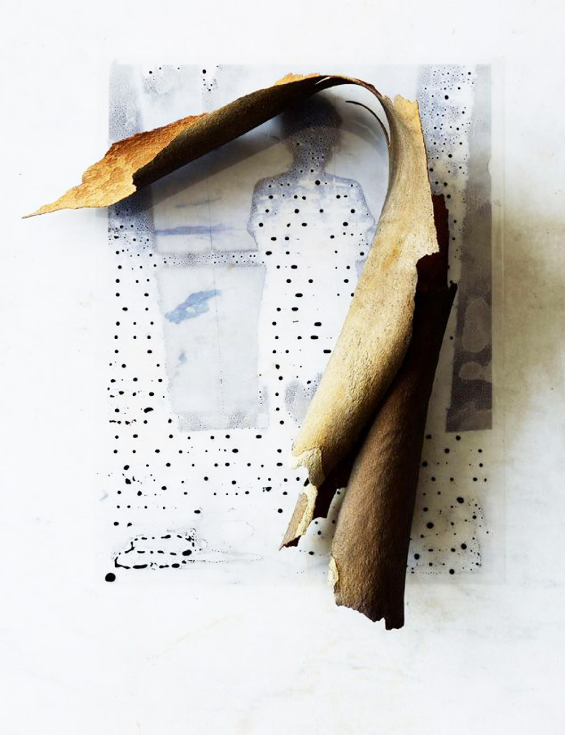 Beth Galton - Ηνωμένες Πολιτείες