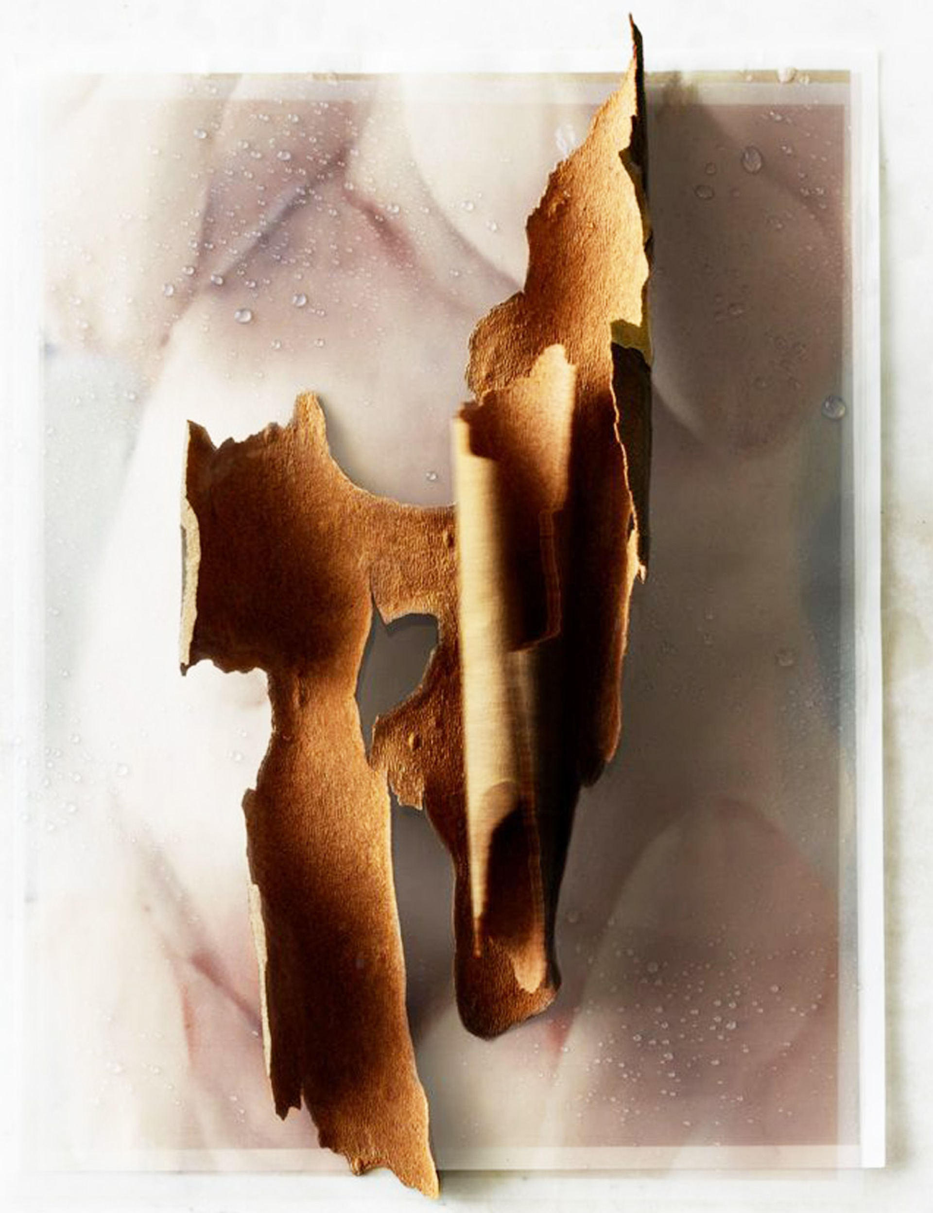 Beth Galton - Ηνωμένες Πολιτείες