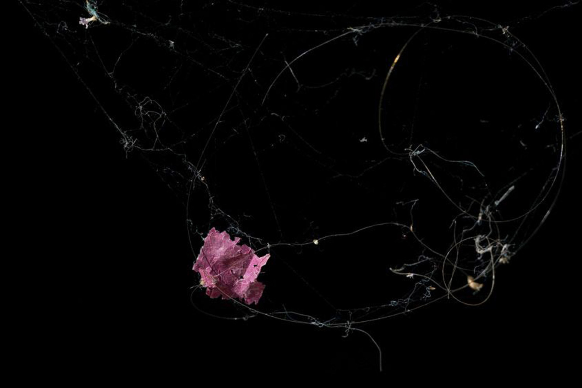 Eva Berler - Ελλάδα