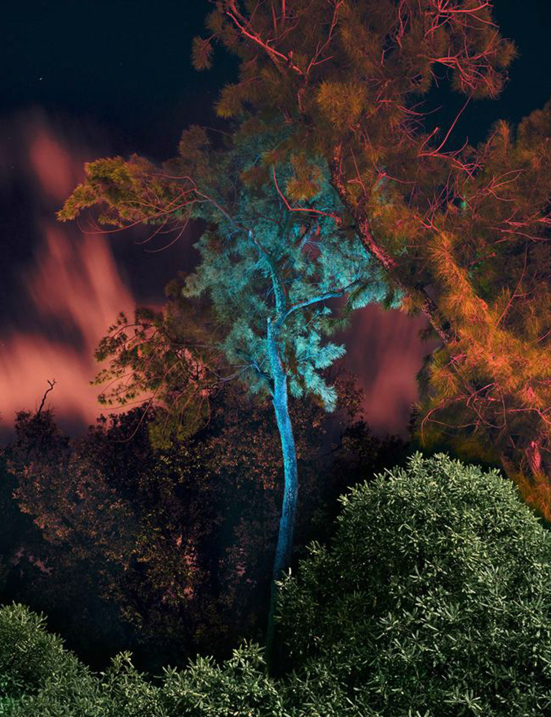 Jim Fenwick - Ηνωμένο Βασίλειο