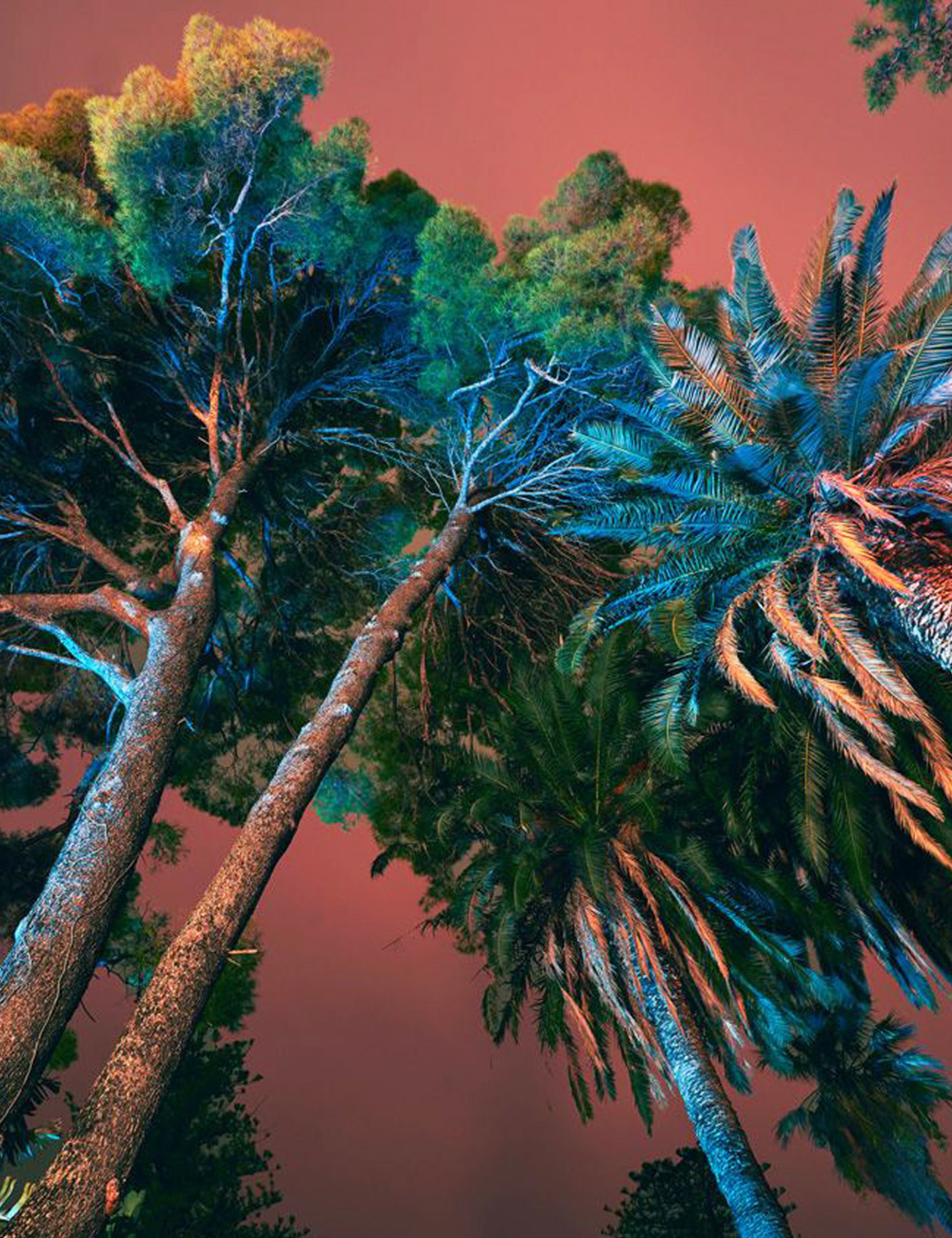 Jim Fenwick - Ηνωμένο Βασίλειο