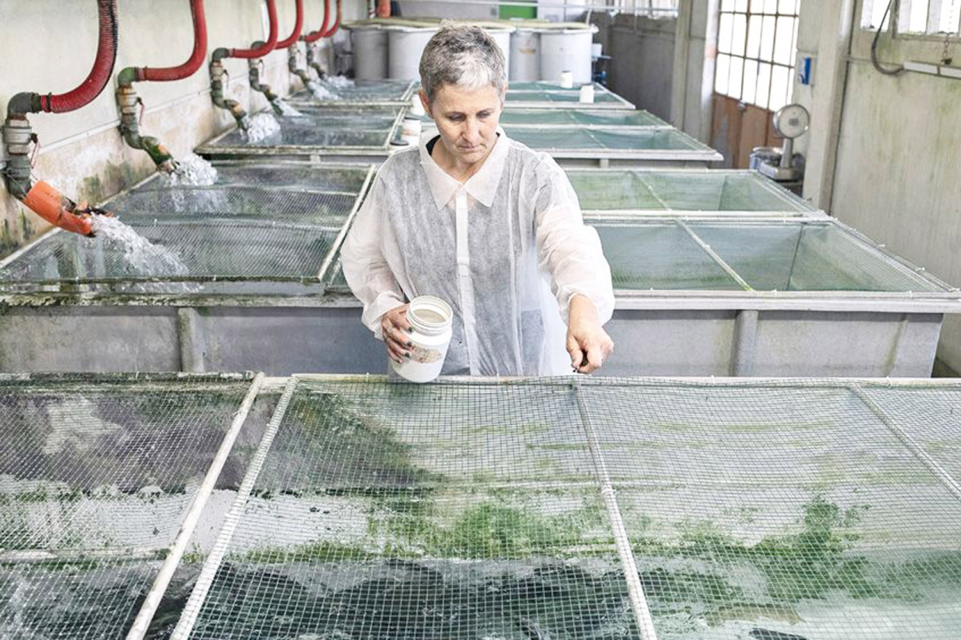 Maurizio Di Pietro - Ιταλία