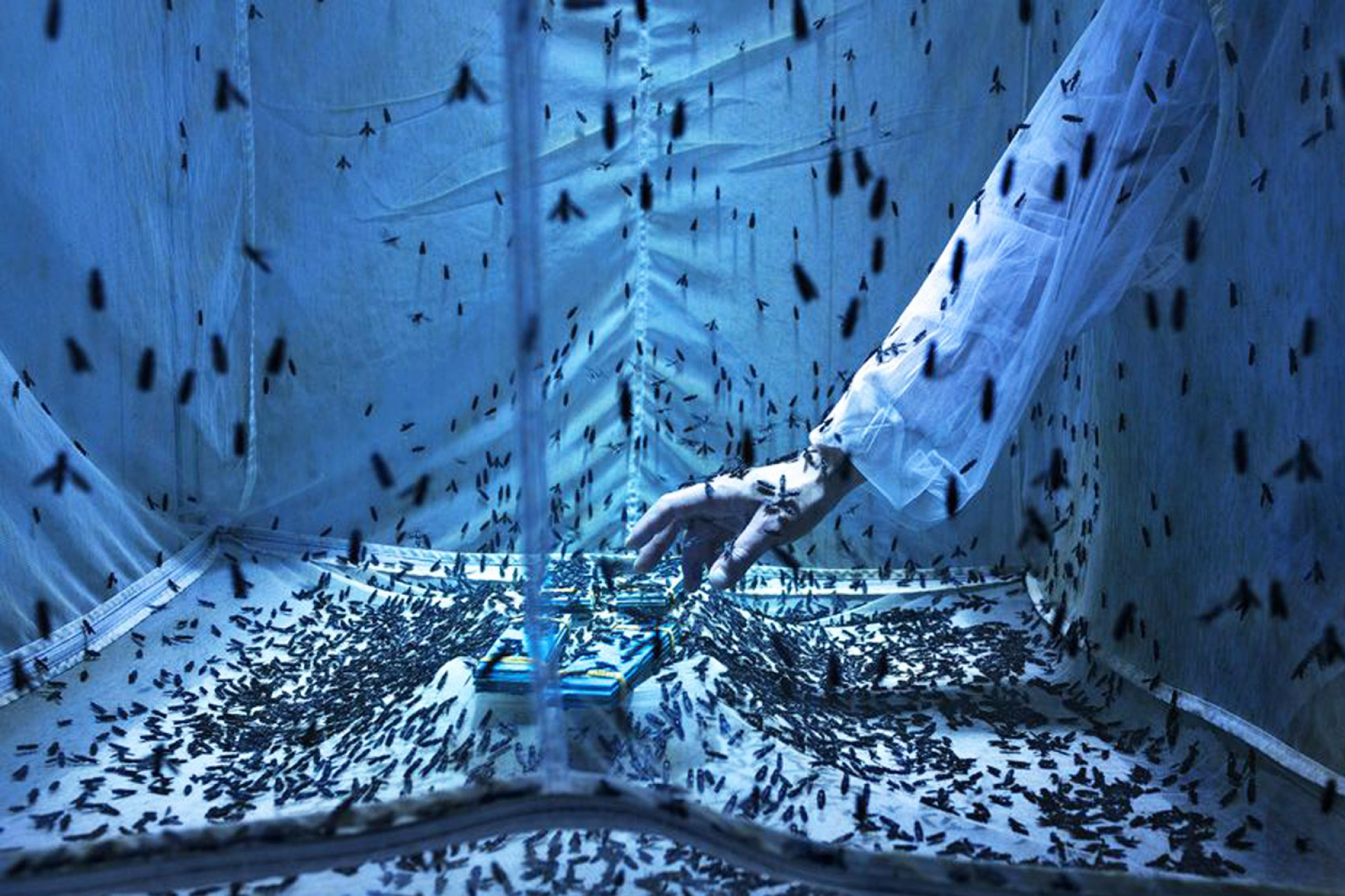 Maurizio Di Pietro - Ιταλία