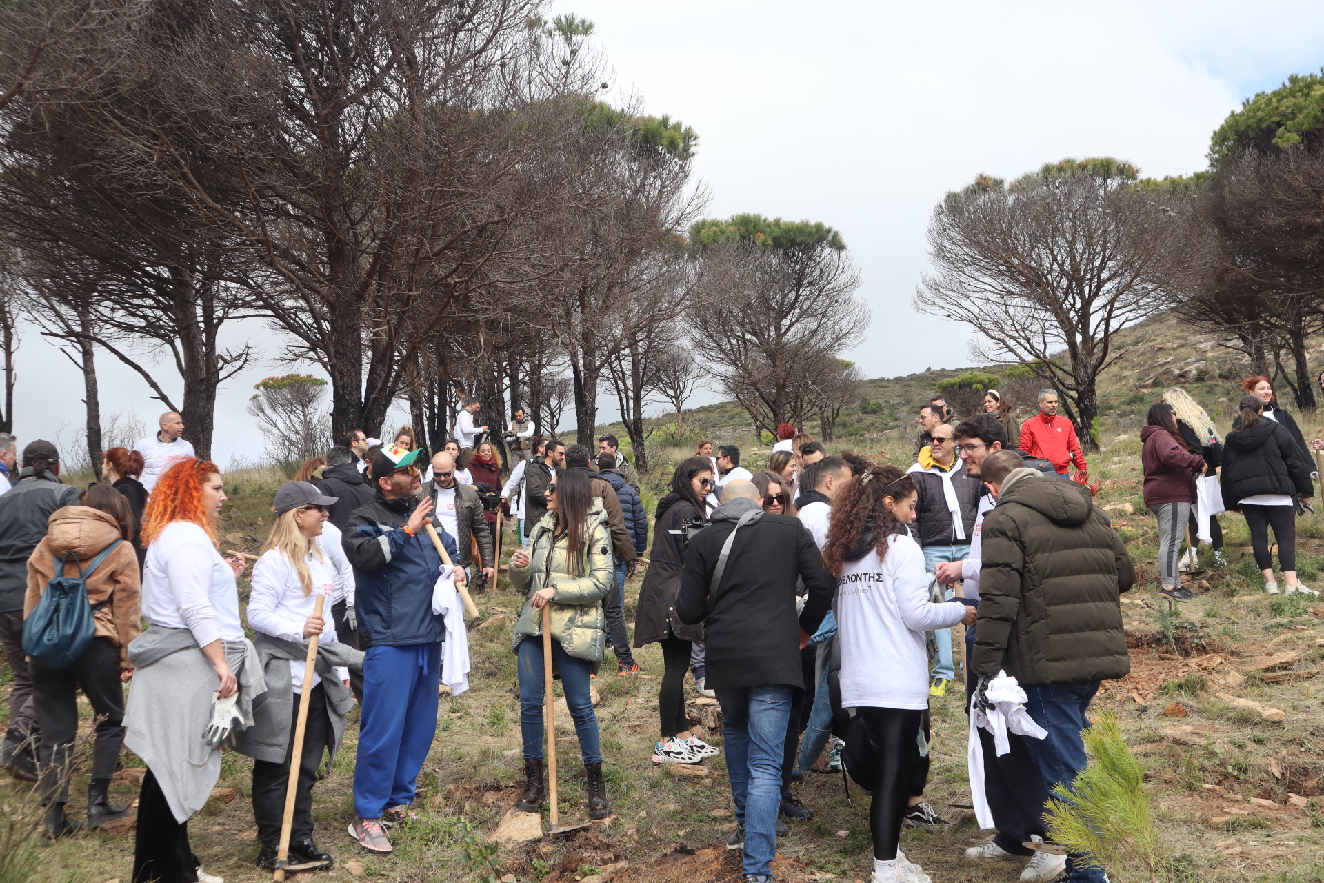 Αναδάσωση στην Πηγή Καρακαντά Πεντέλης με τους ανθρώπους της Παπαστράτος