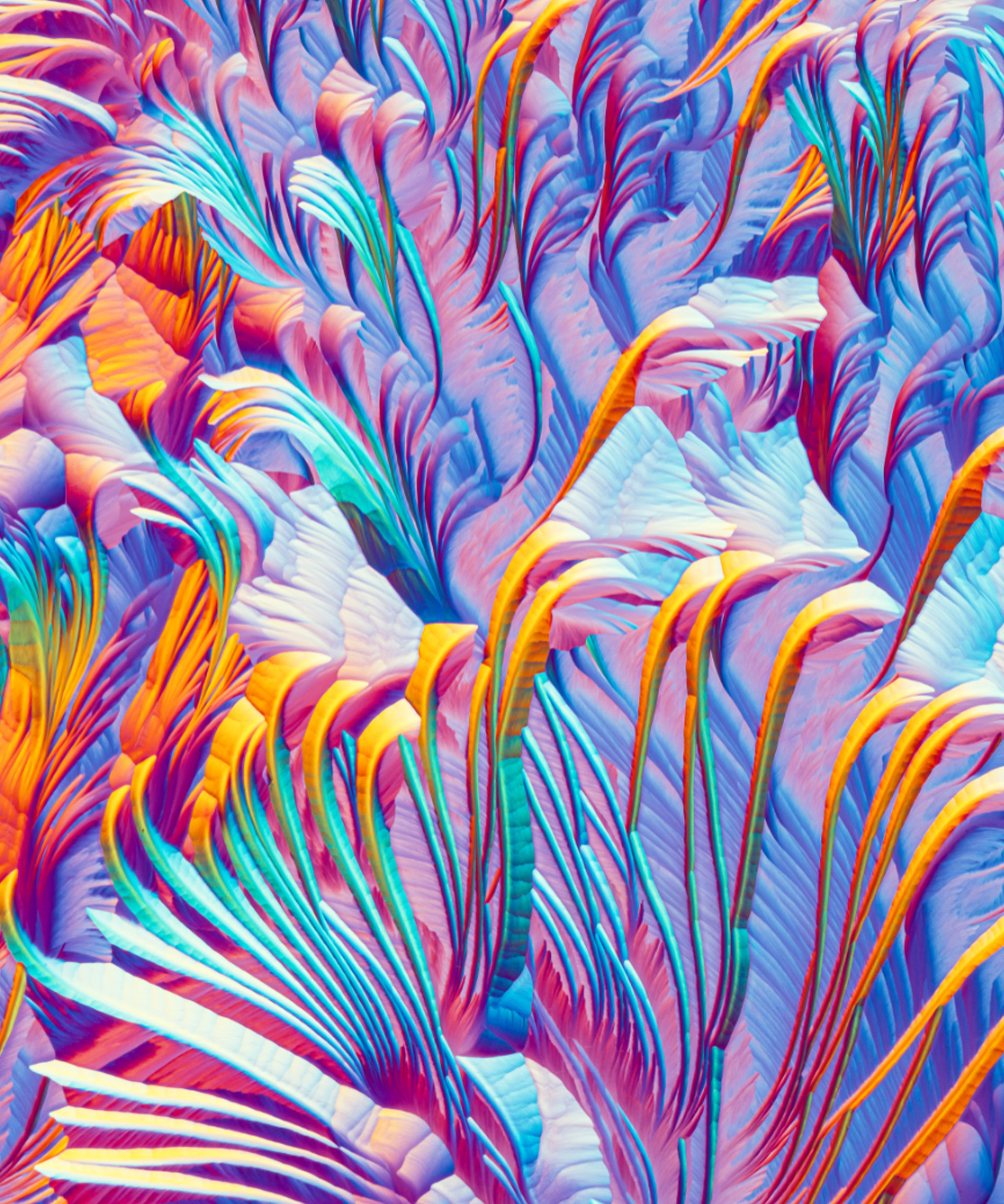 Rob Blanken, Ολλανδία