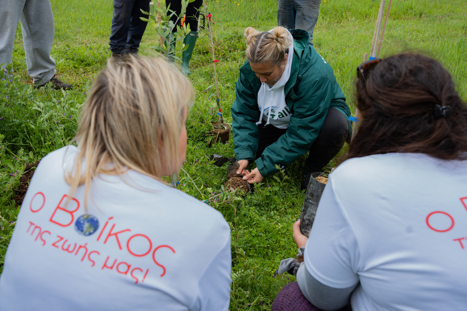 B. Εύβοια Βίκος