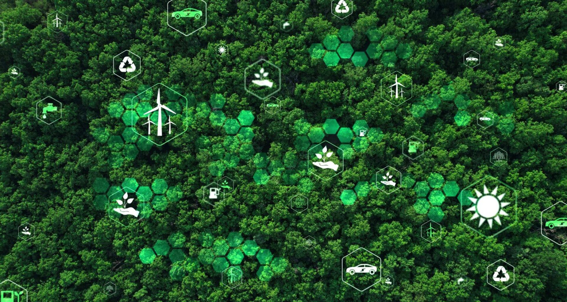 ΔΕΗ: Συνεργασίες και δεσμεύσεις για την ανάπτυξη της βιωσιμότητας