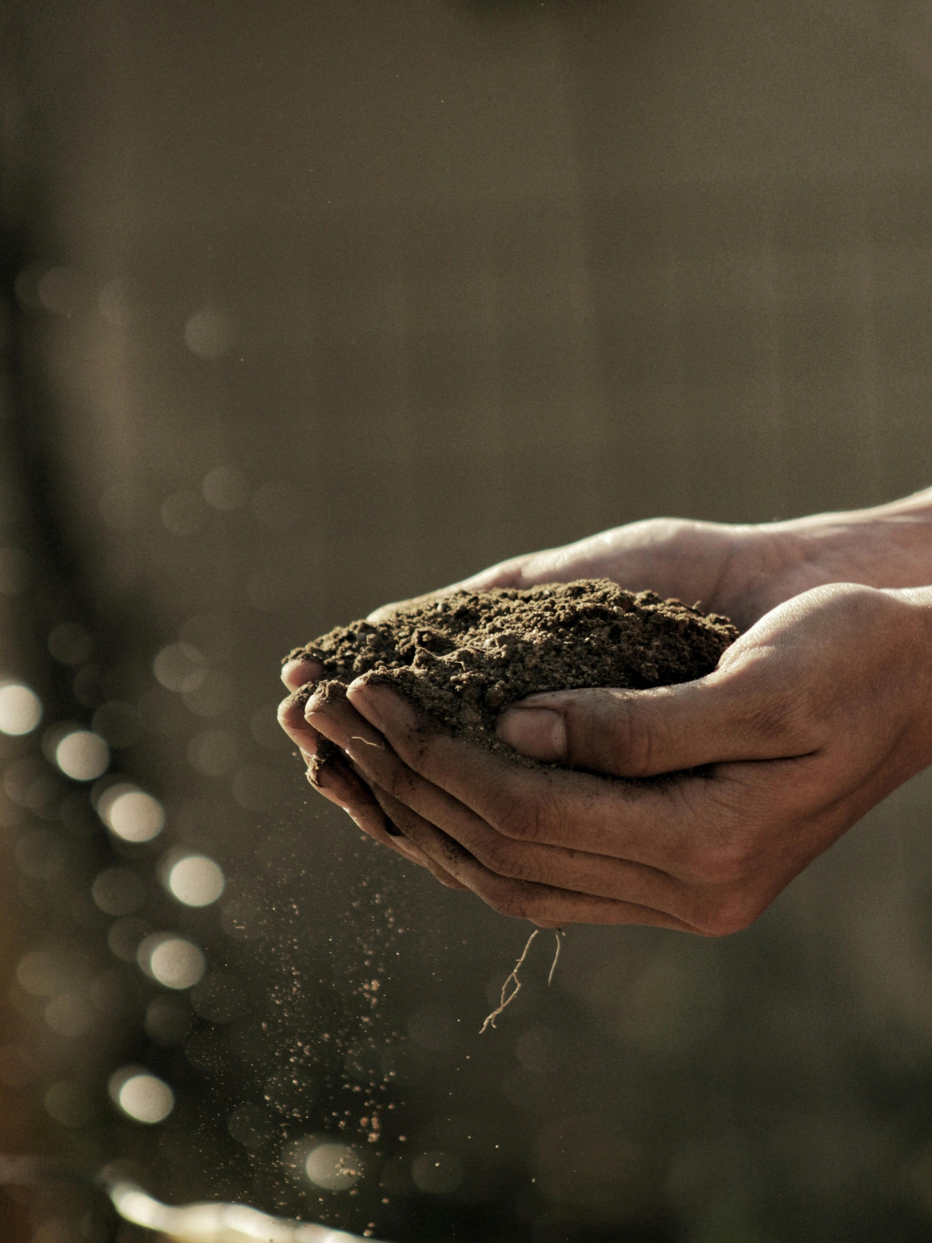 Οι άξονες της ΔΕΗ για κοινωνική, περιβαλλοντική και οικονομική βιωσιμότητα (ESG)