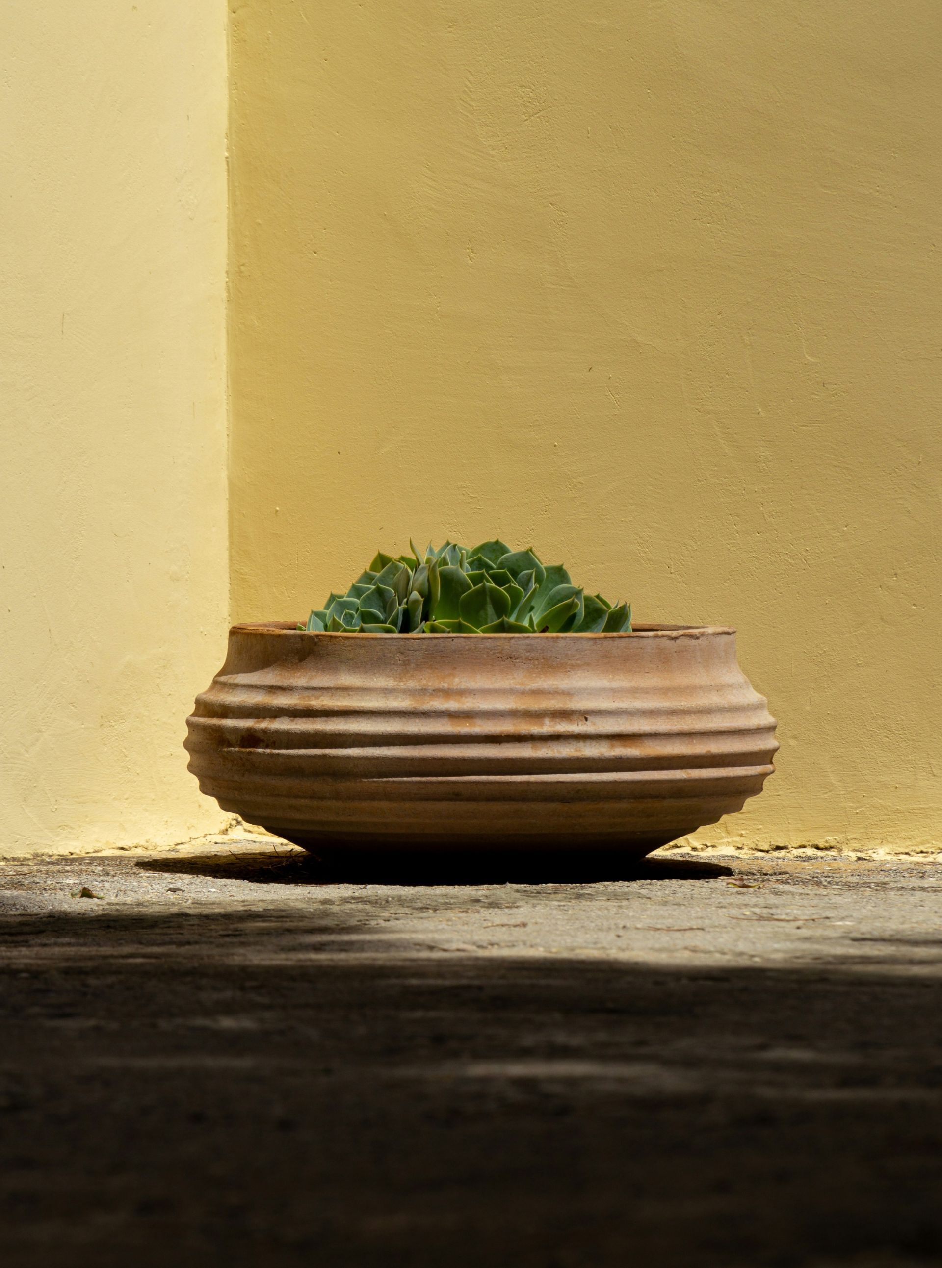 spetses-dimitris-santorinaios-unsplash-1