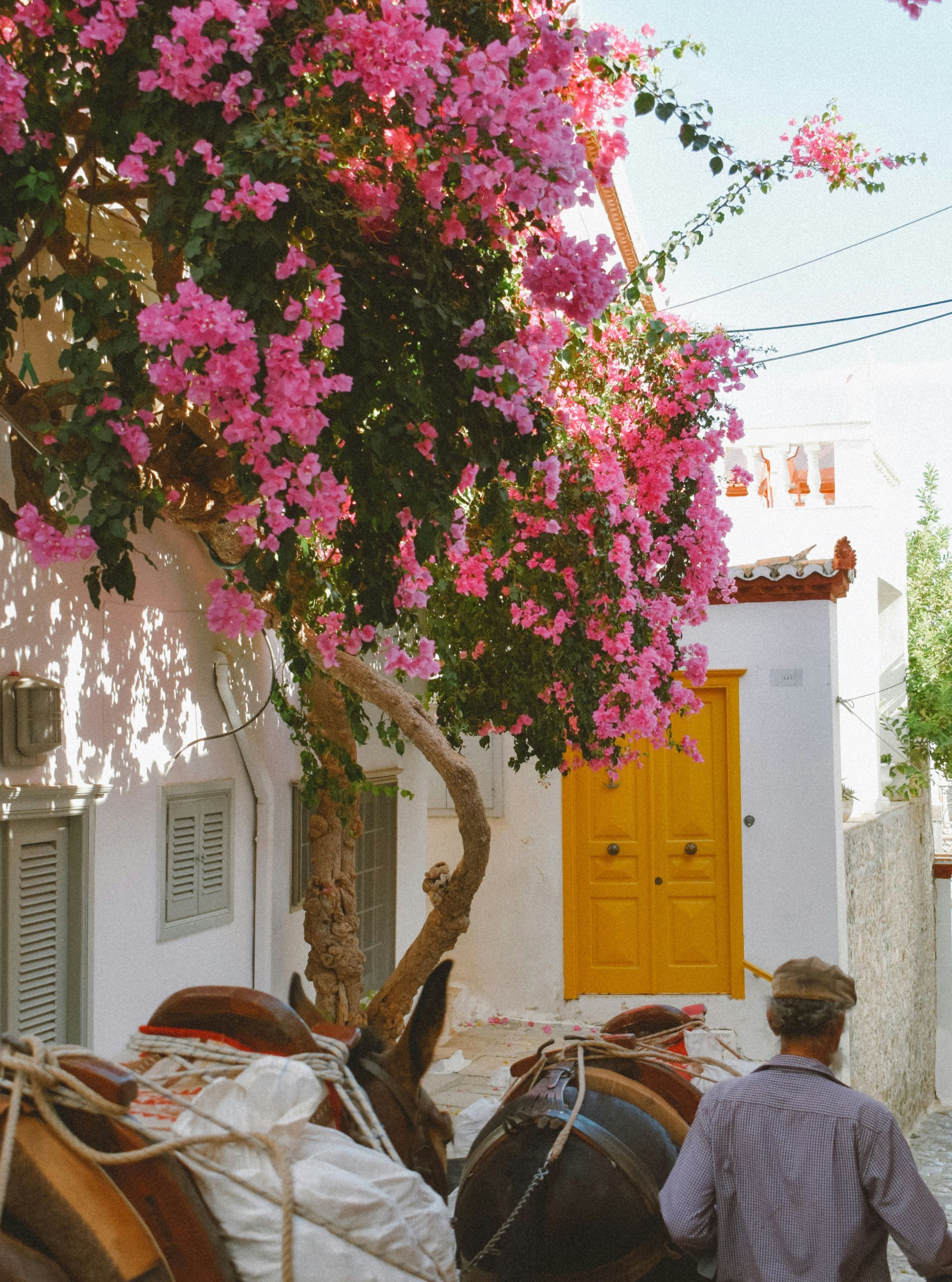 ydra-christina-terzidou-unsplash