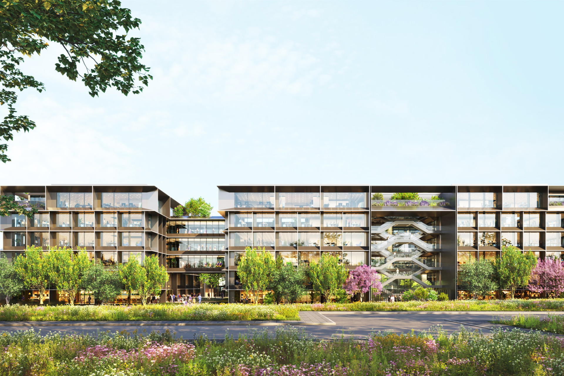 Office Campus «The Grid»