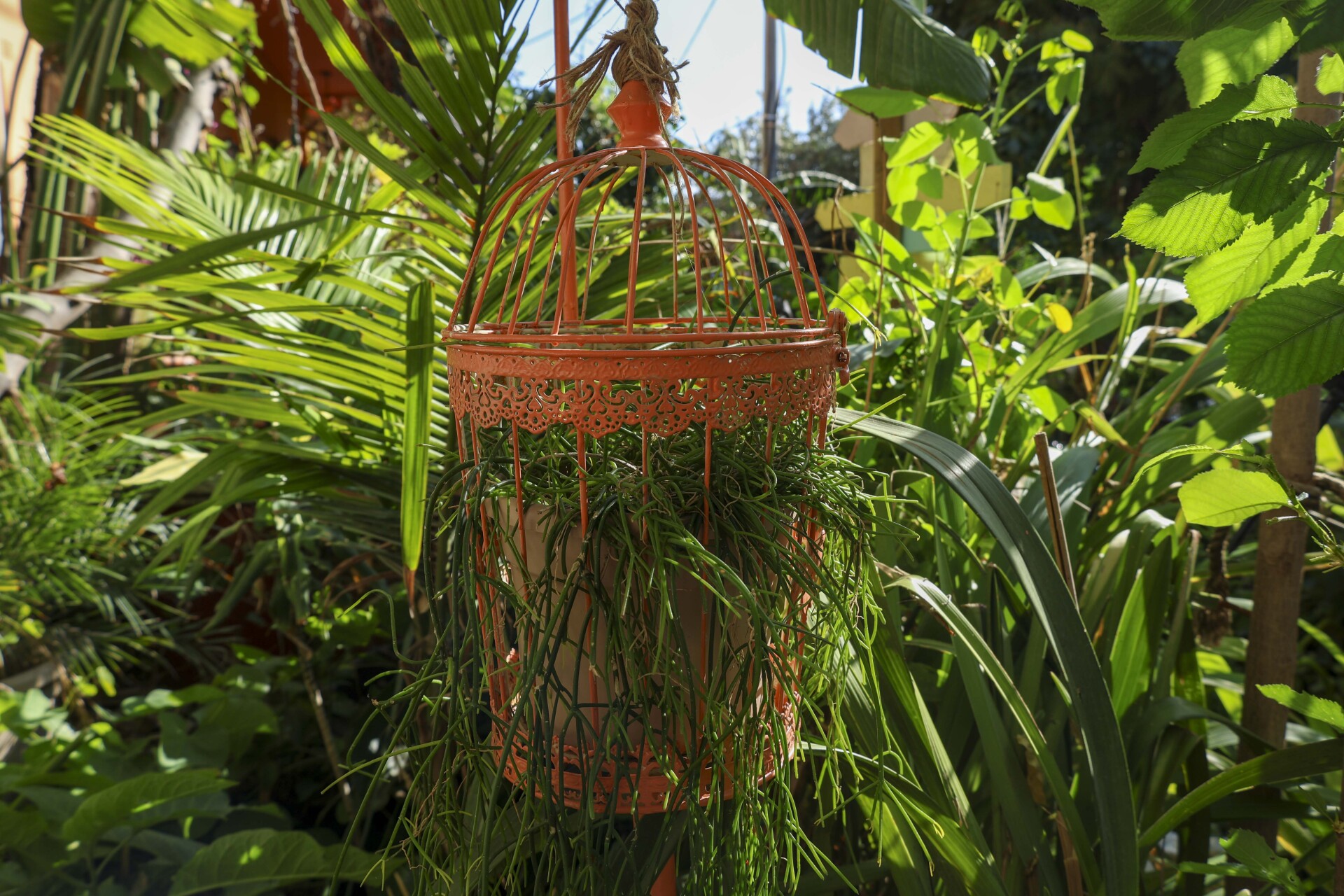 Κήπος στη Νέα Σμύρνη