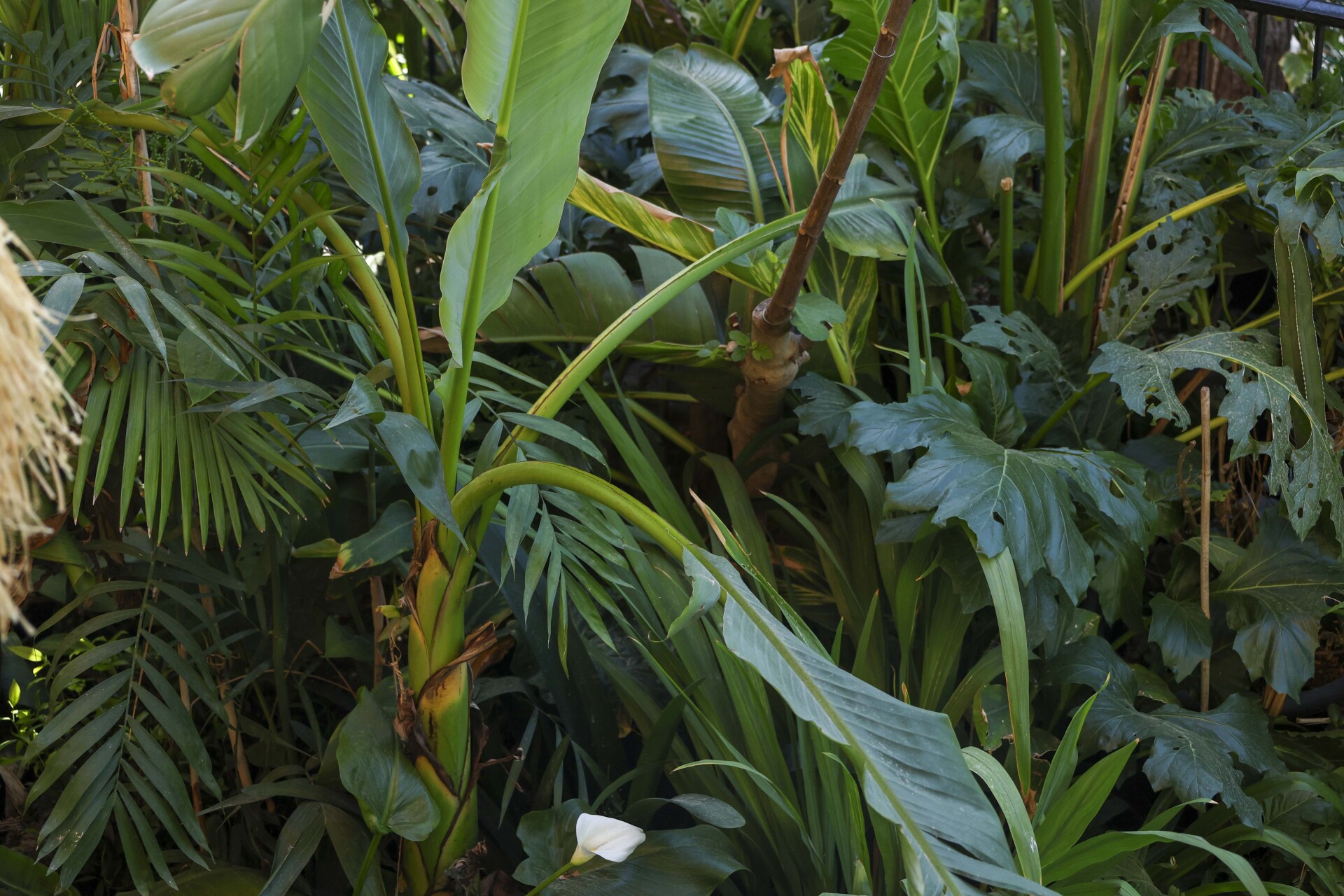Σπίτι στην Νέα Σμύρνη