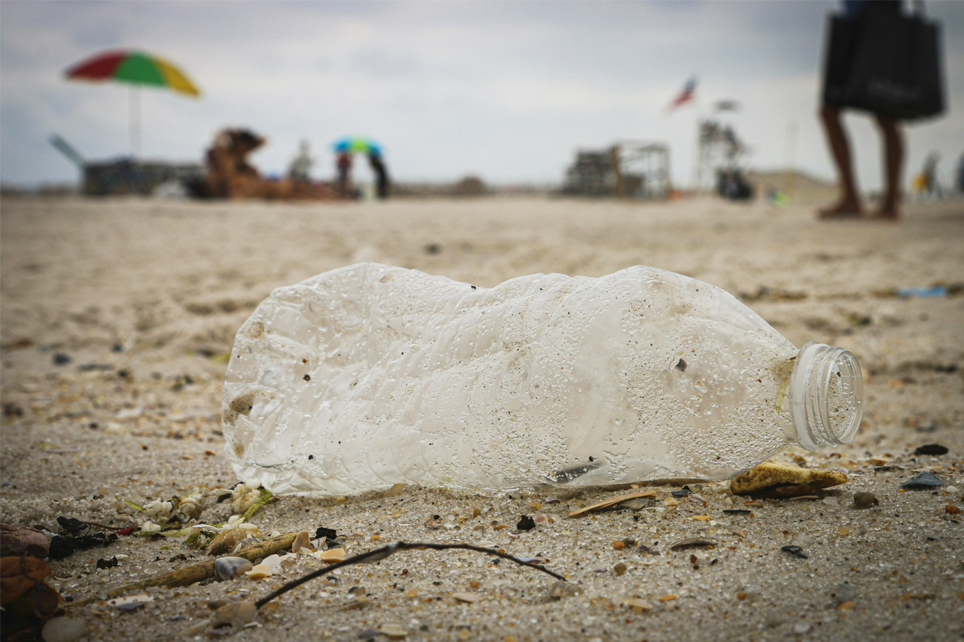 Ελεύθερος ταξιδιώτης