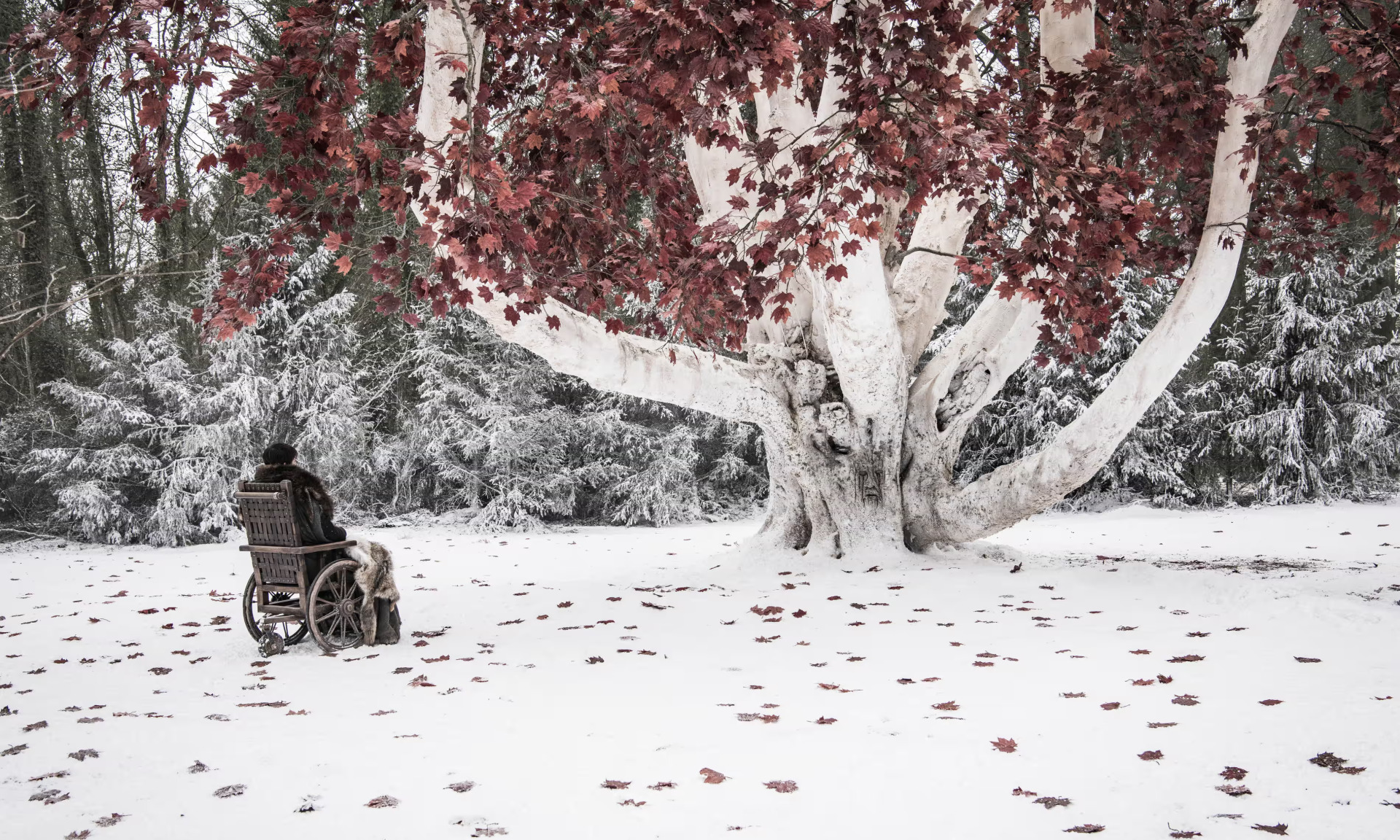 Σαν σήμερα 19 Μαΐου: Το φινάλε του Game of Thrones - Ο χλιαρός επίλογος της σειράς του HBO και το μέλλον της λογοτεχνικής σάγκα του George R.R. Martin 