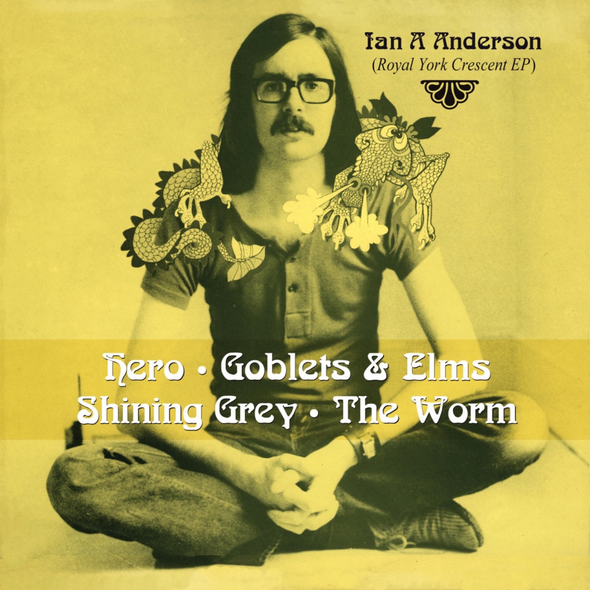 Ian A Anderson