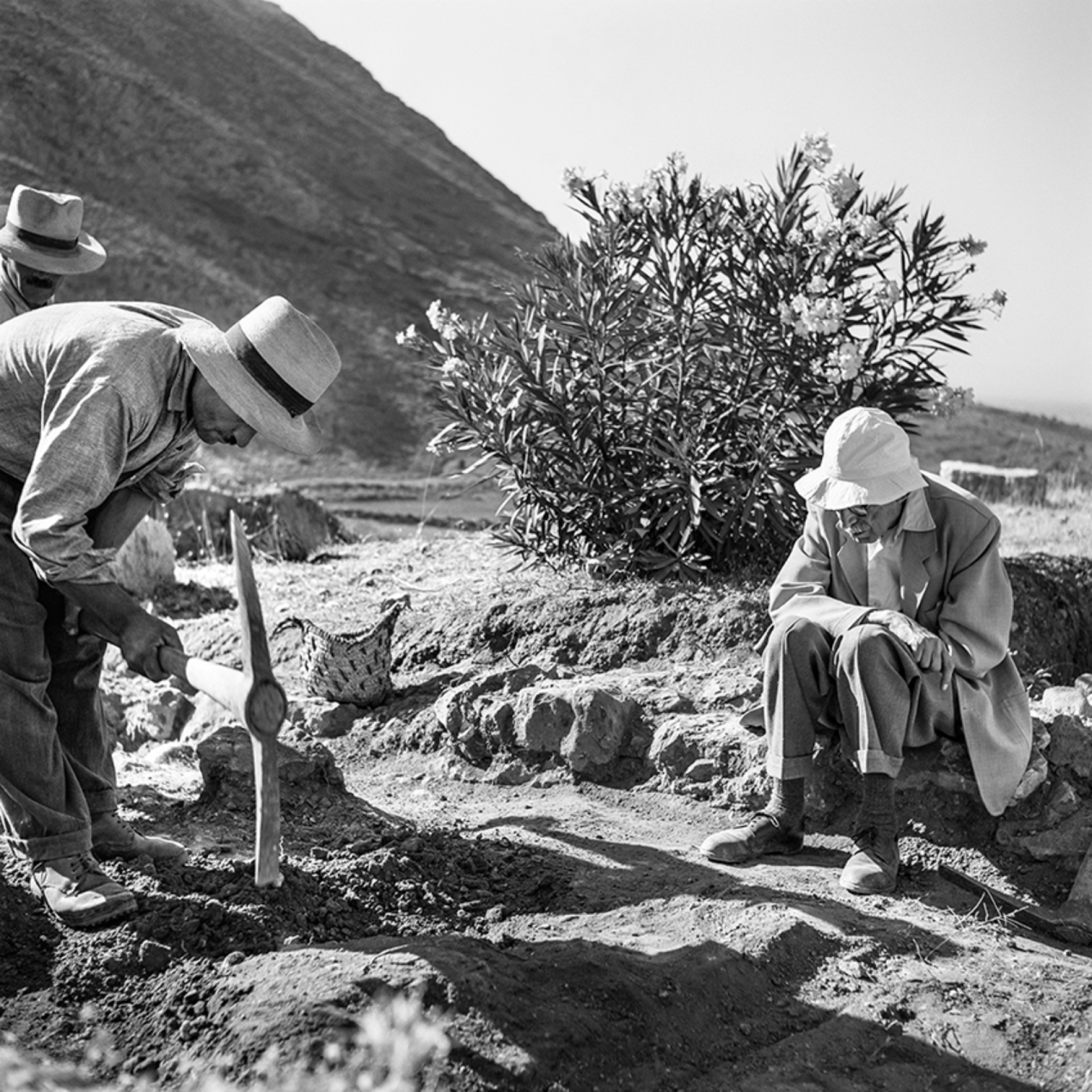 Robert McCabe, «Χαίρε Ξένε Στη Χώρα των Ονείρων»