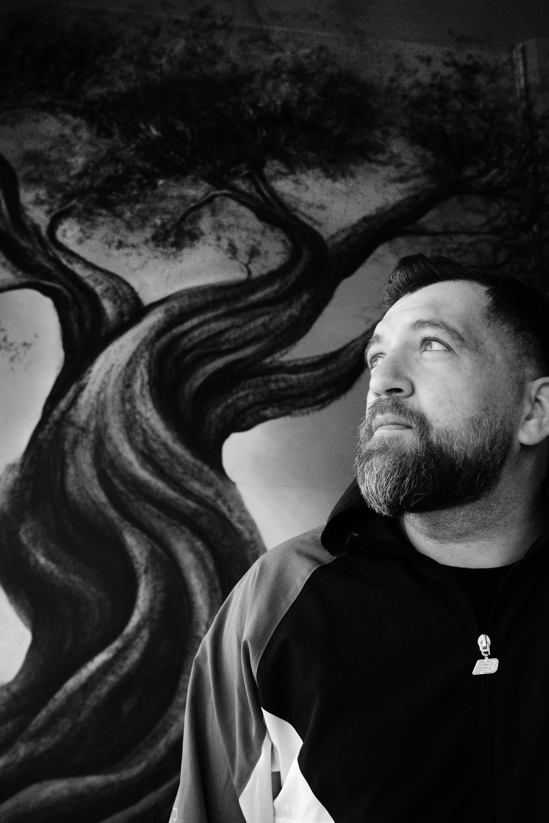 Anser: Απαντήσεις από τη Σπάρτη