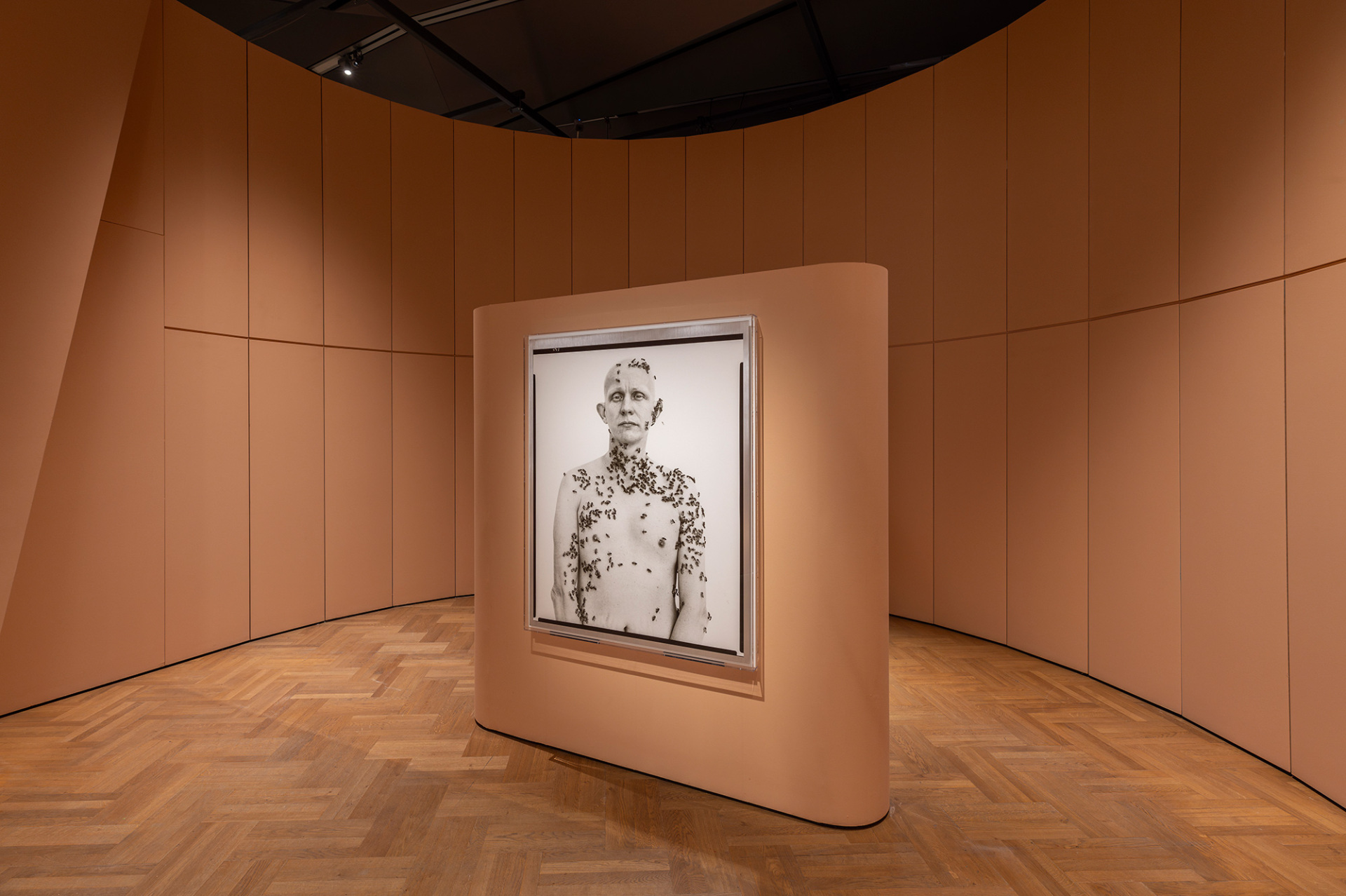 Άποψη της έκθεσης «Fragile Beauty» στο V&A South Kensington © Victoria and Albert Museum