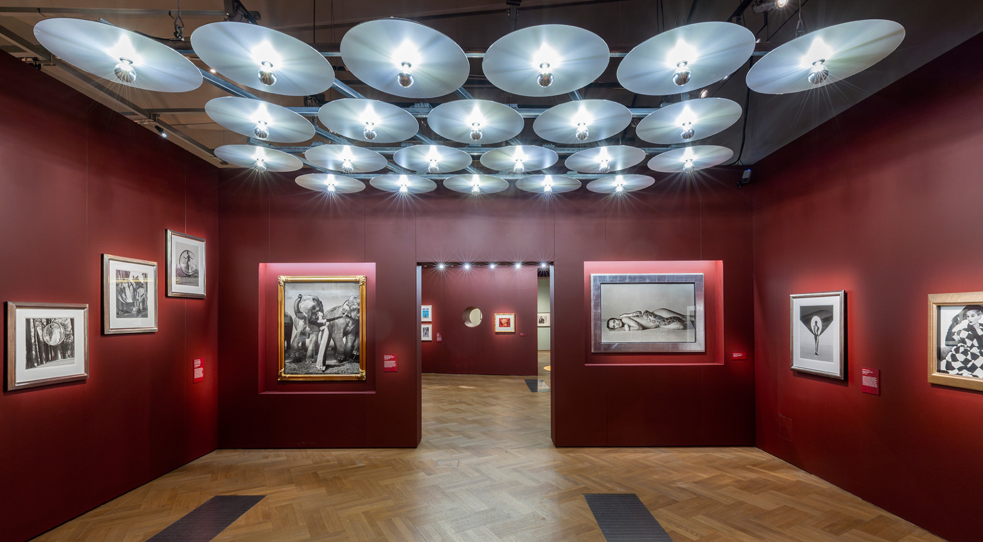 Άποψη της έκθεσης «Fragile Beauty» στο V&A South Kensington © Victoria and Albert Museum