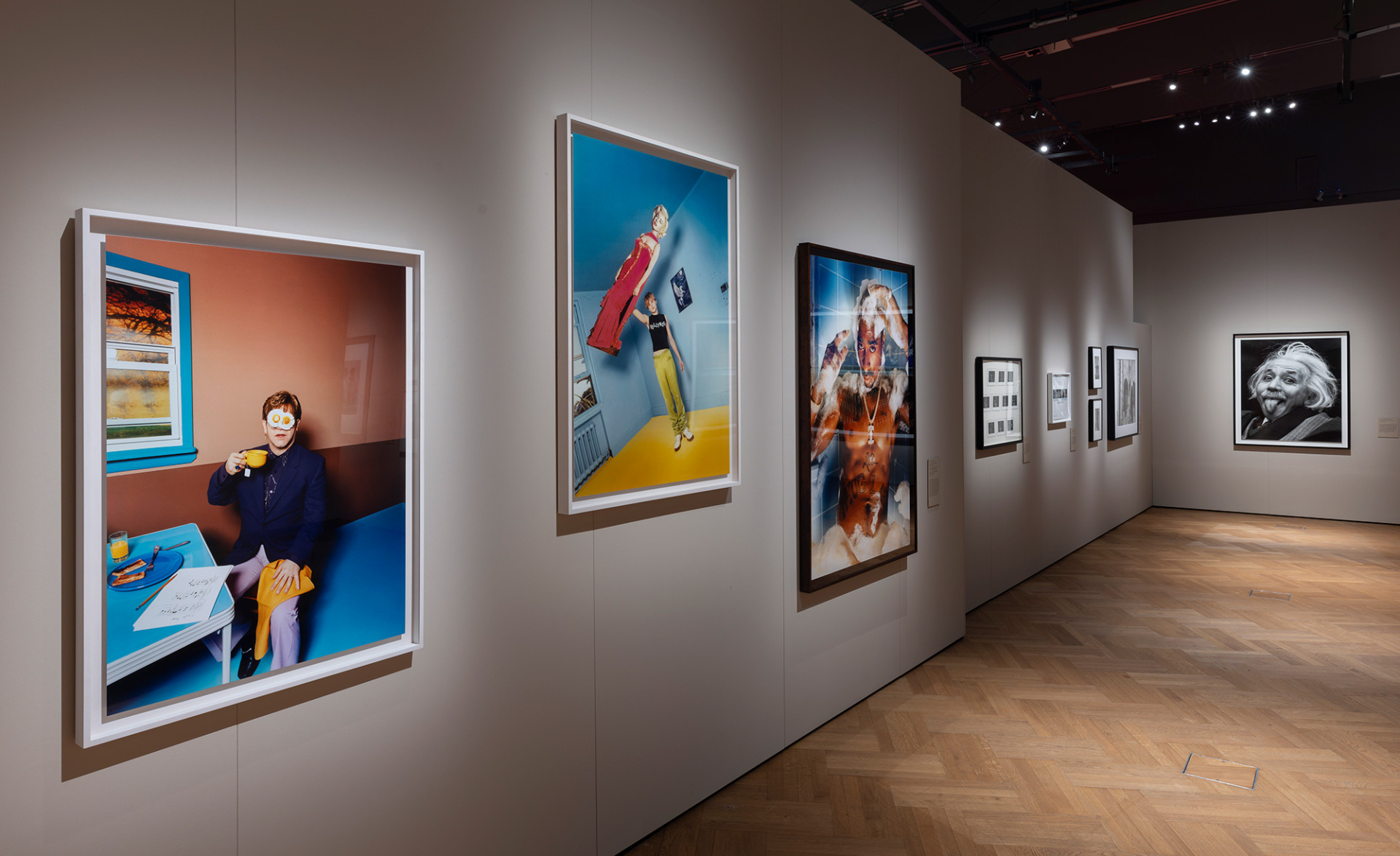 Άποψη της έκθεσης «Fragile Beauty» στο V&A South Kensington © Victoria and Albert Museum