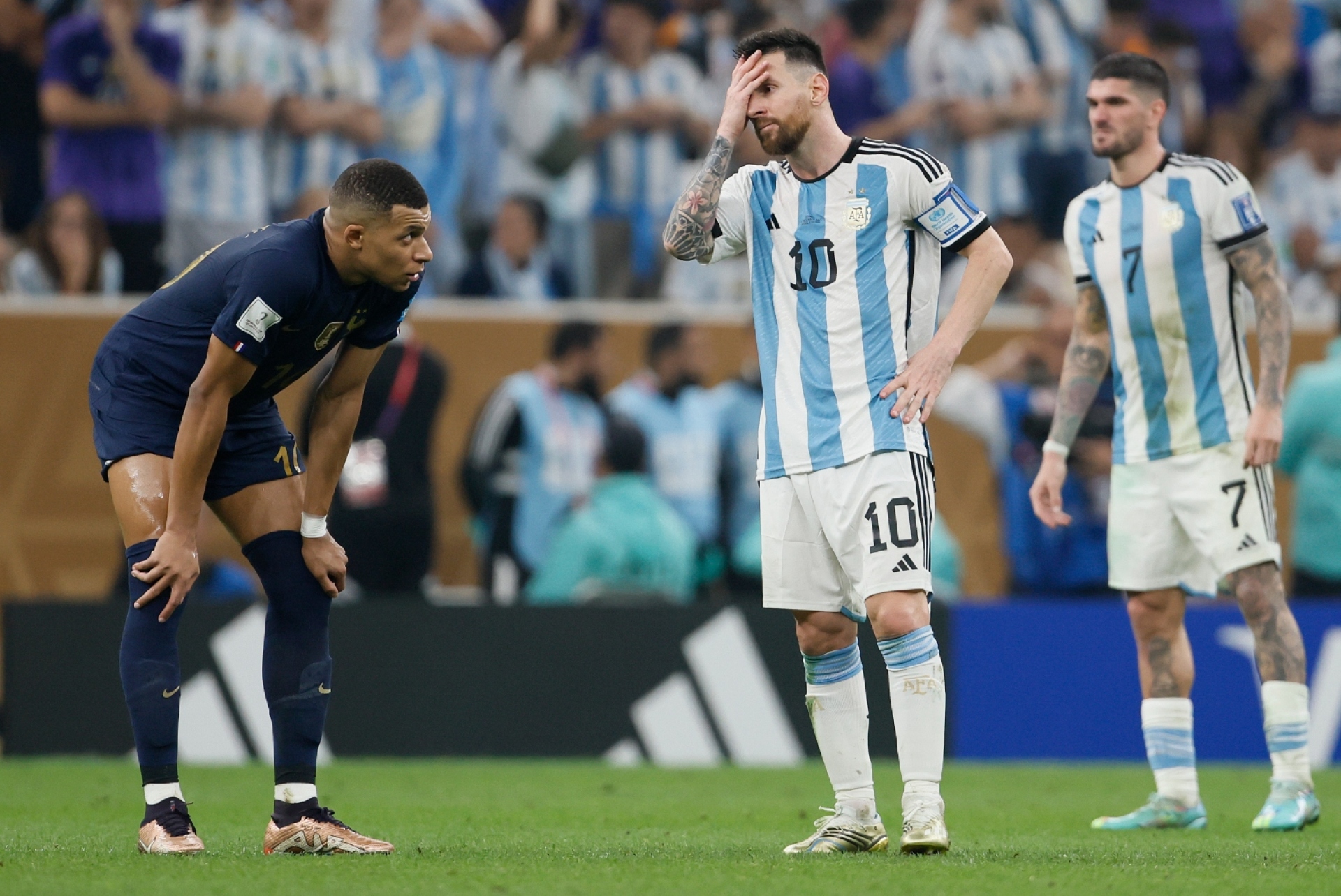 Ένας Βασιλιάς στη Βασίλισσα