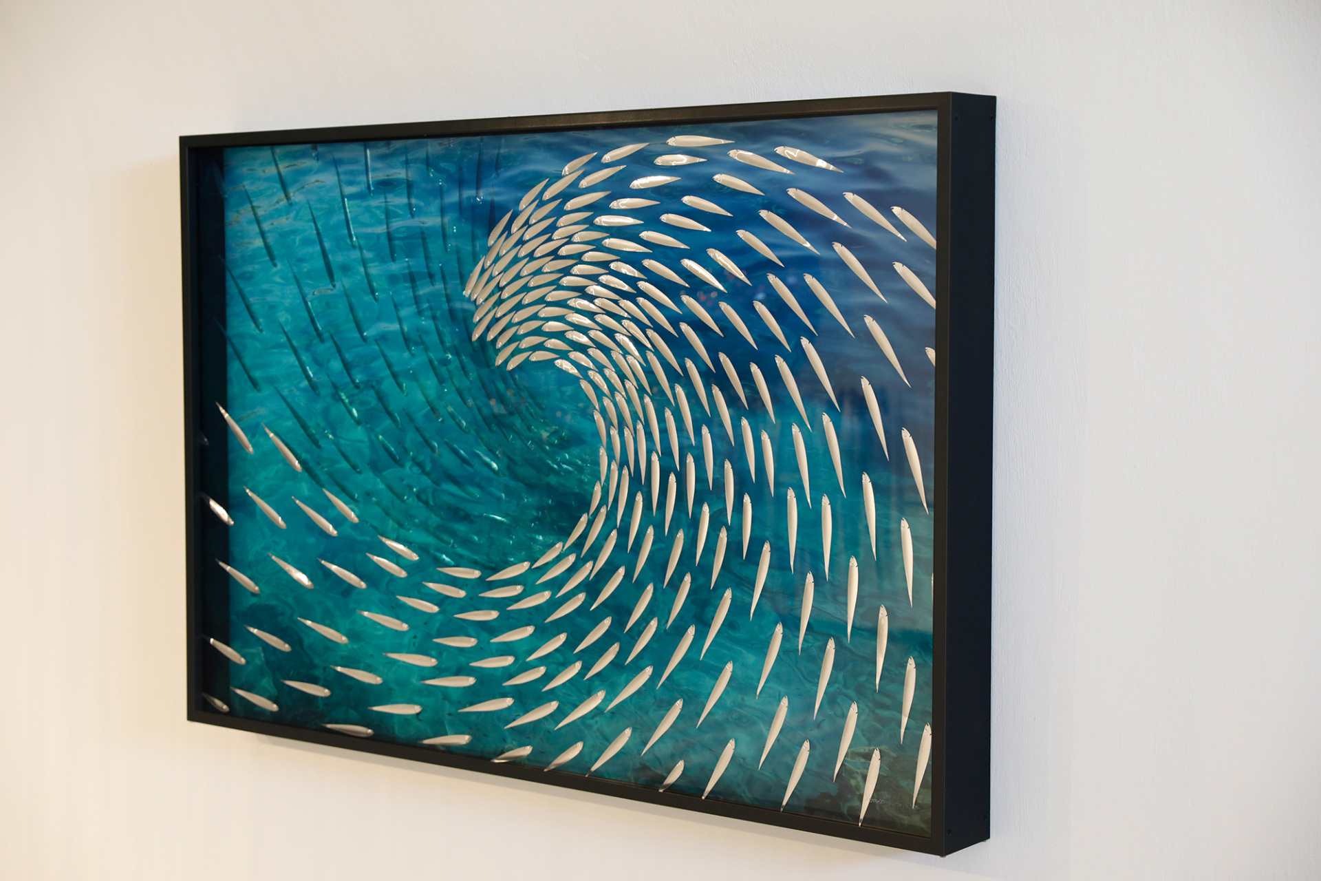 Τα ψάρια του Γιώργου Κυπρή