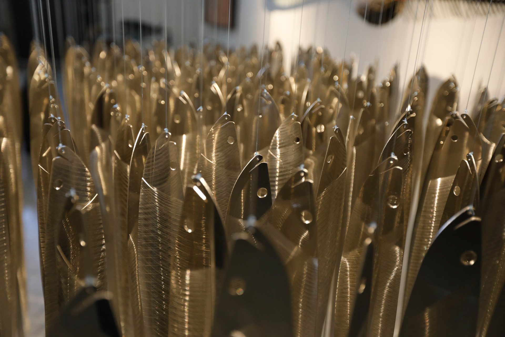 Τα ψάρια του Γιώργου Κυπρή