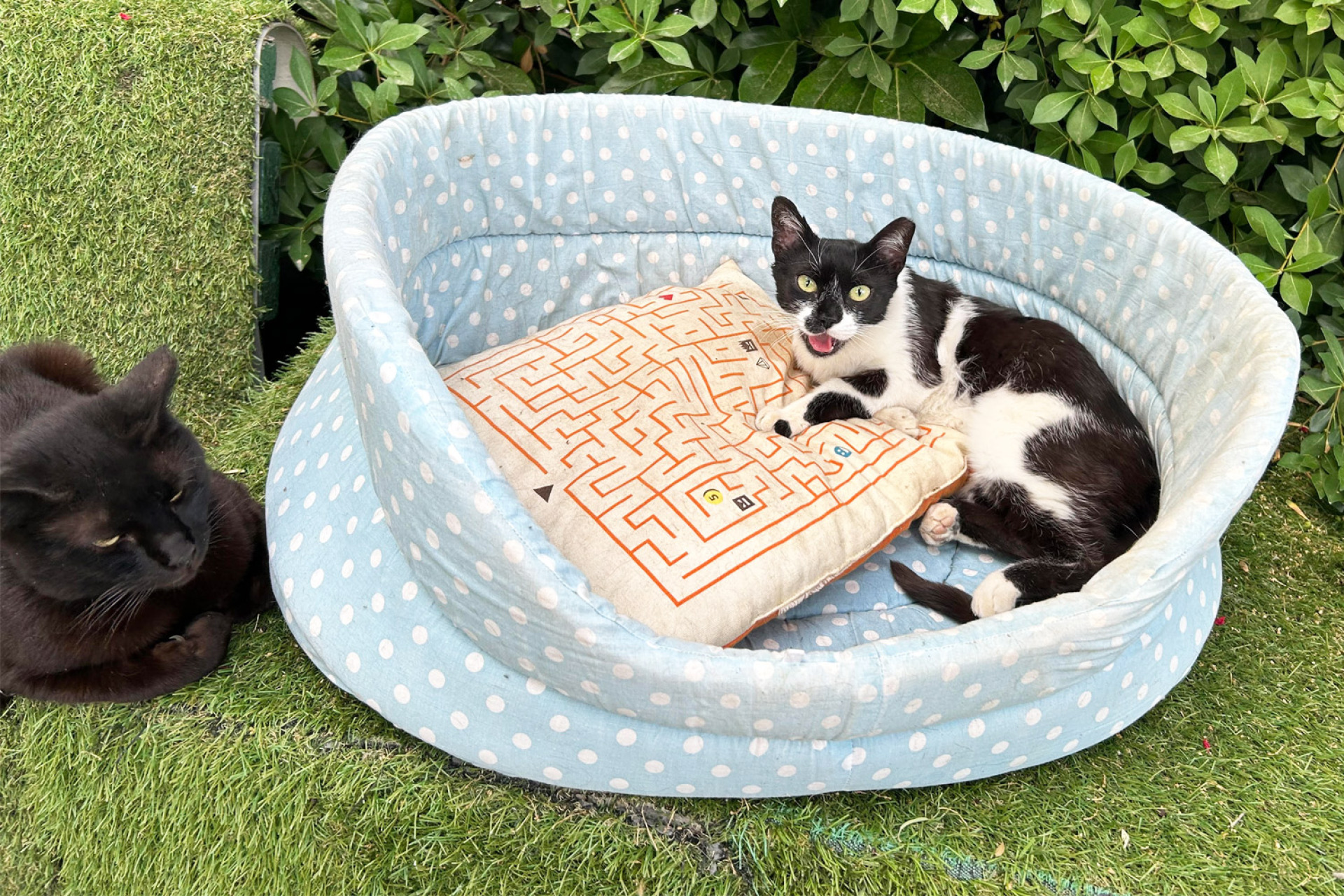 Ξενοκράτους, Κολωνάκι