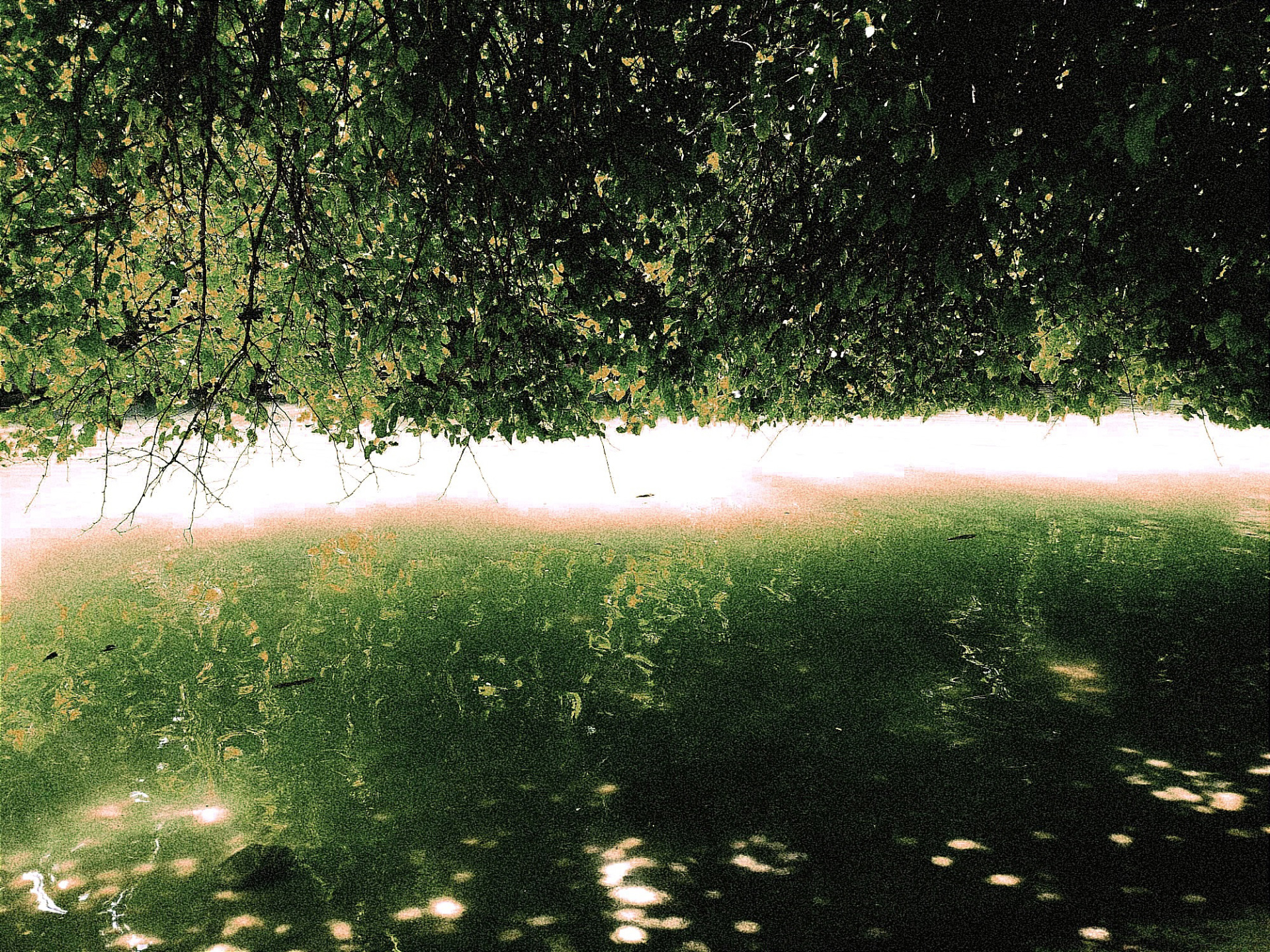 Ο παππούς Whanganui: Η αληθινή ιστορία του ποταμού που έγινε άνθρωπος