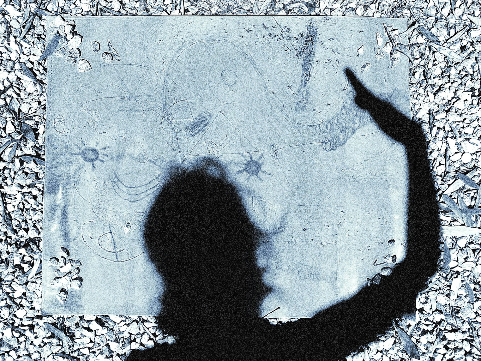 Ο παππούς Whanganui: Η αληθινή ιστορία του ποταμού που έγινε άνθρωπος