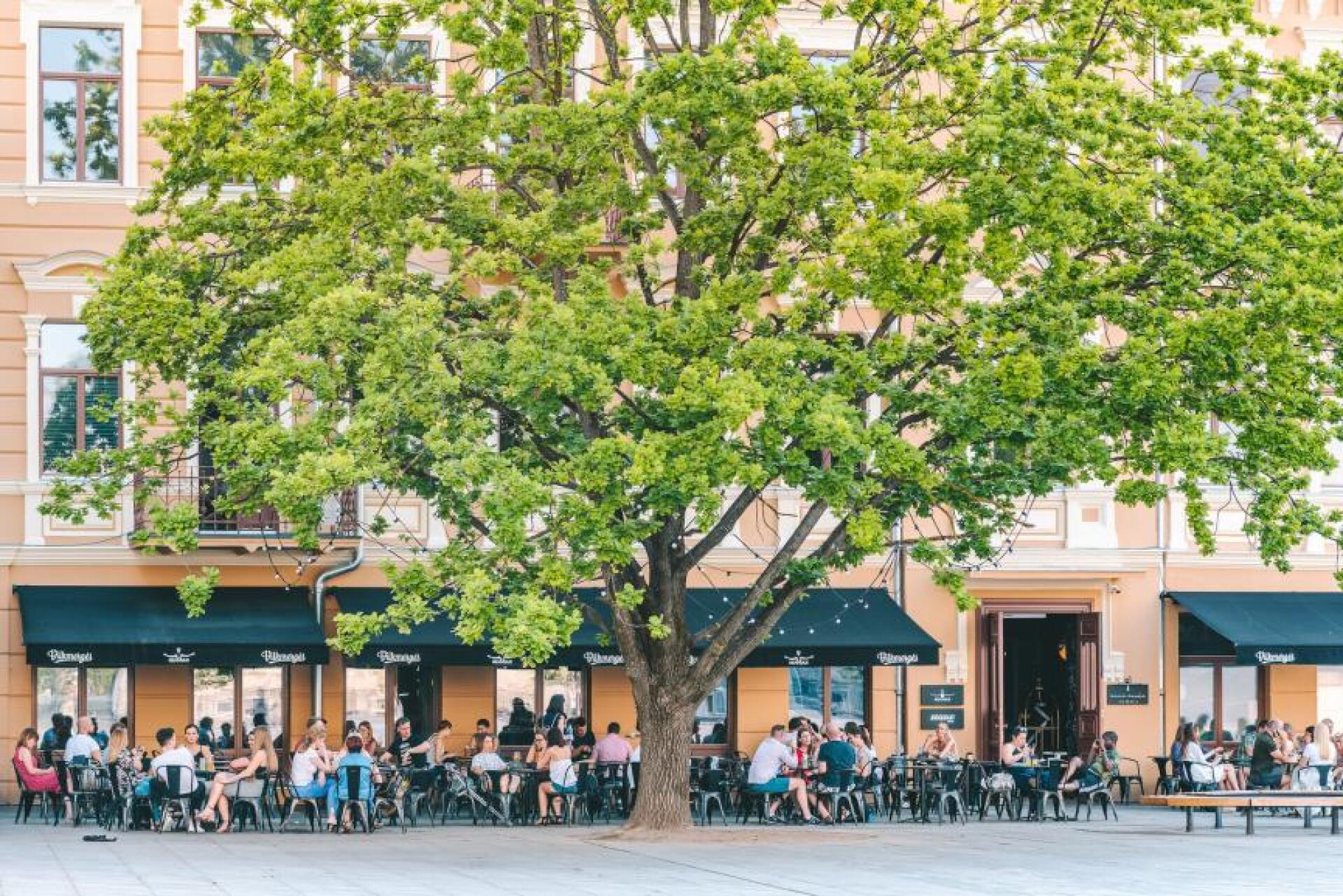 Λιθουανία: Ταξίδι στο Βίλνιους και το Κάουνας