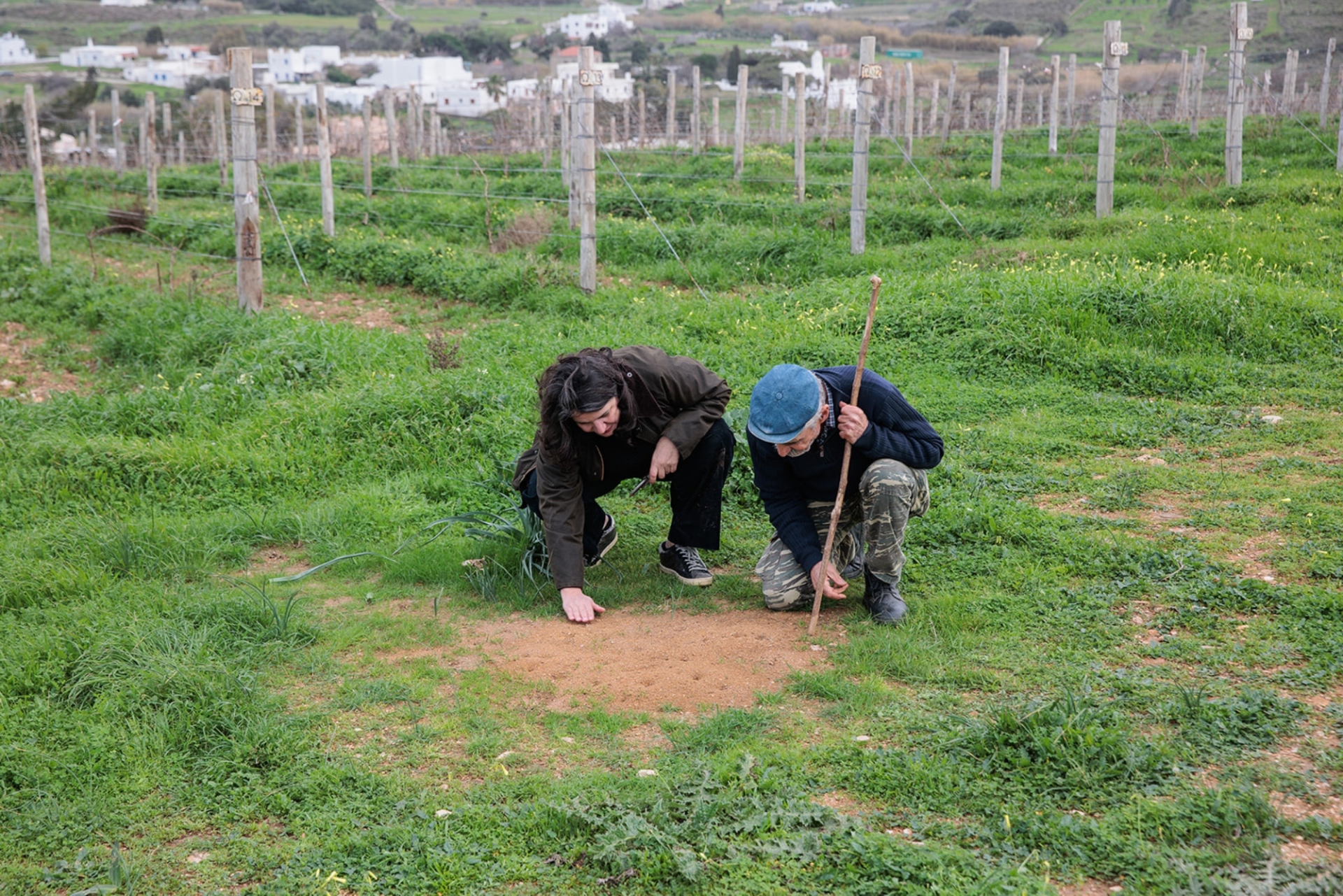 Terra Grazia: Το παραδοσιακό οινοποιείο της Νάξου