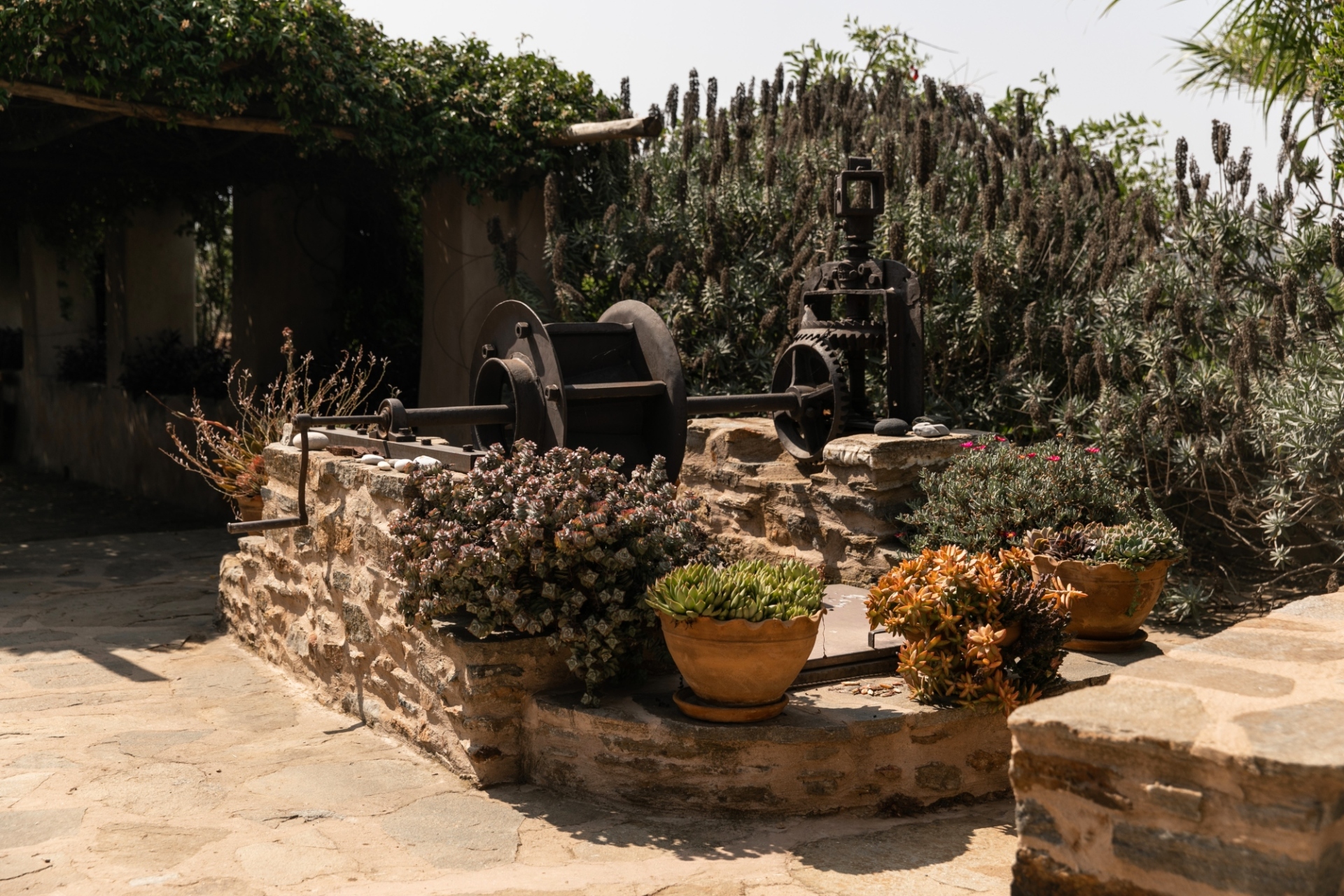 Terra Grazia: Το παραδοσιακό οινοποιείο της Νάξου