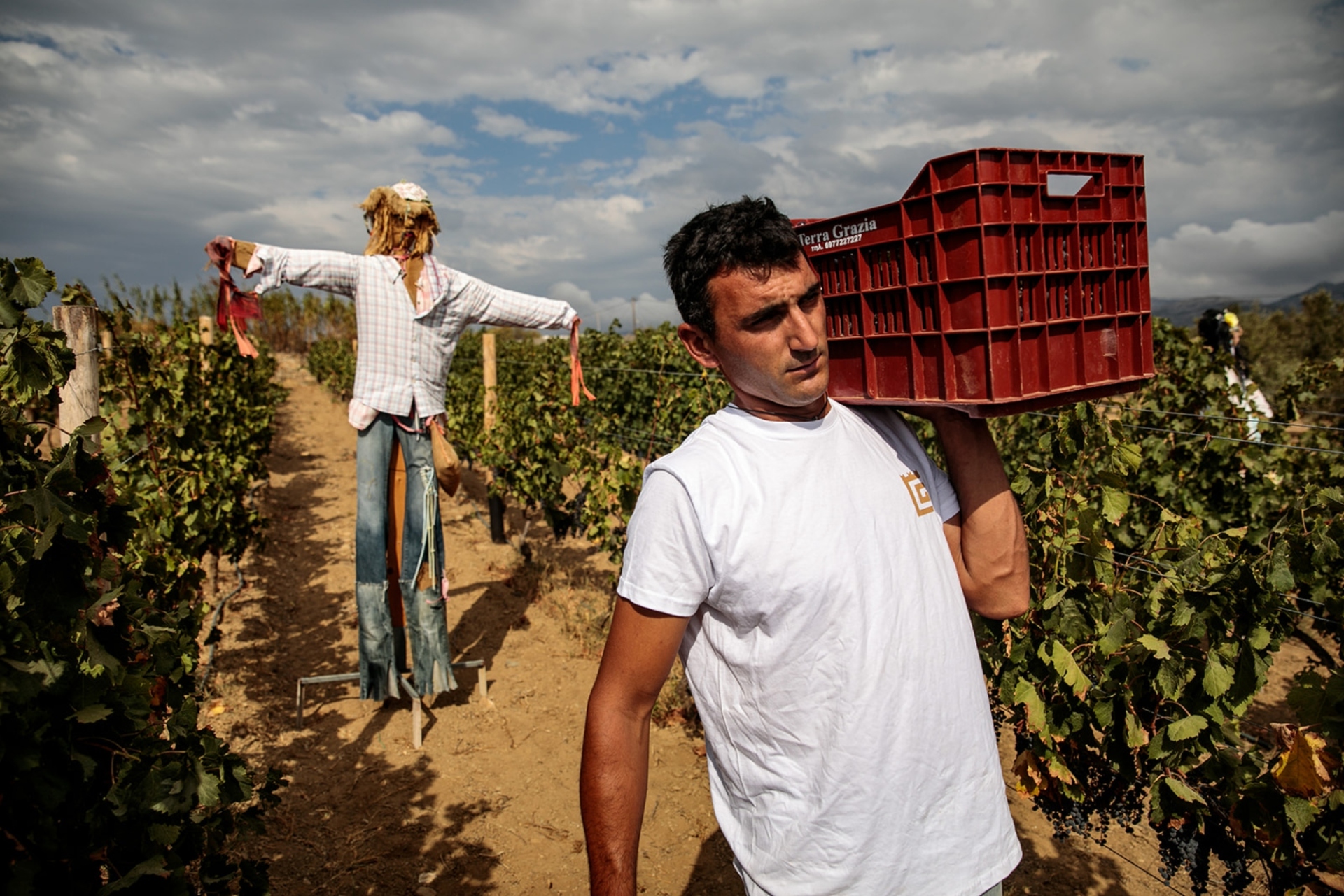 Terra Grazia: Το παραδοσιακό οινοποιείο της Νάξου