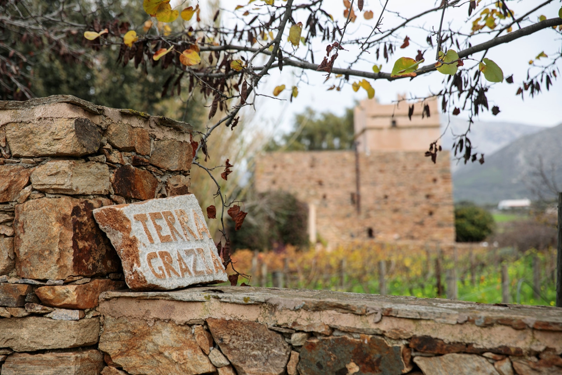 Terra Grazia: Το παραδοσιακό οινοποιείο της Νάξου