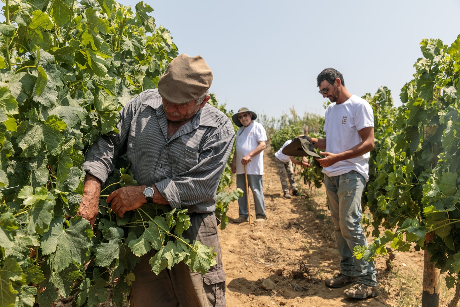 Οι άνθρωποι του Terra Grazia 