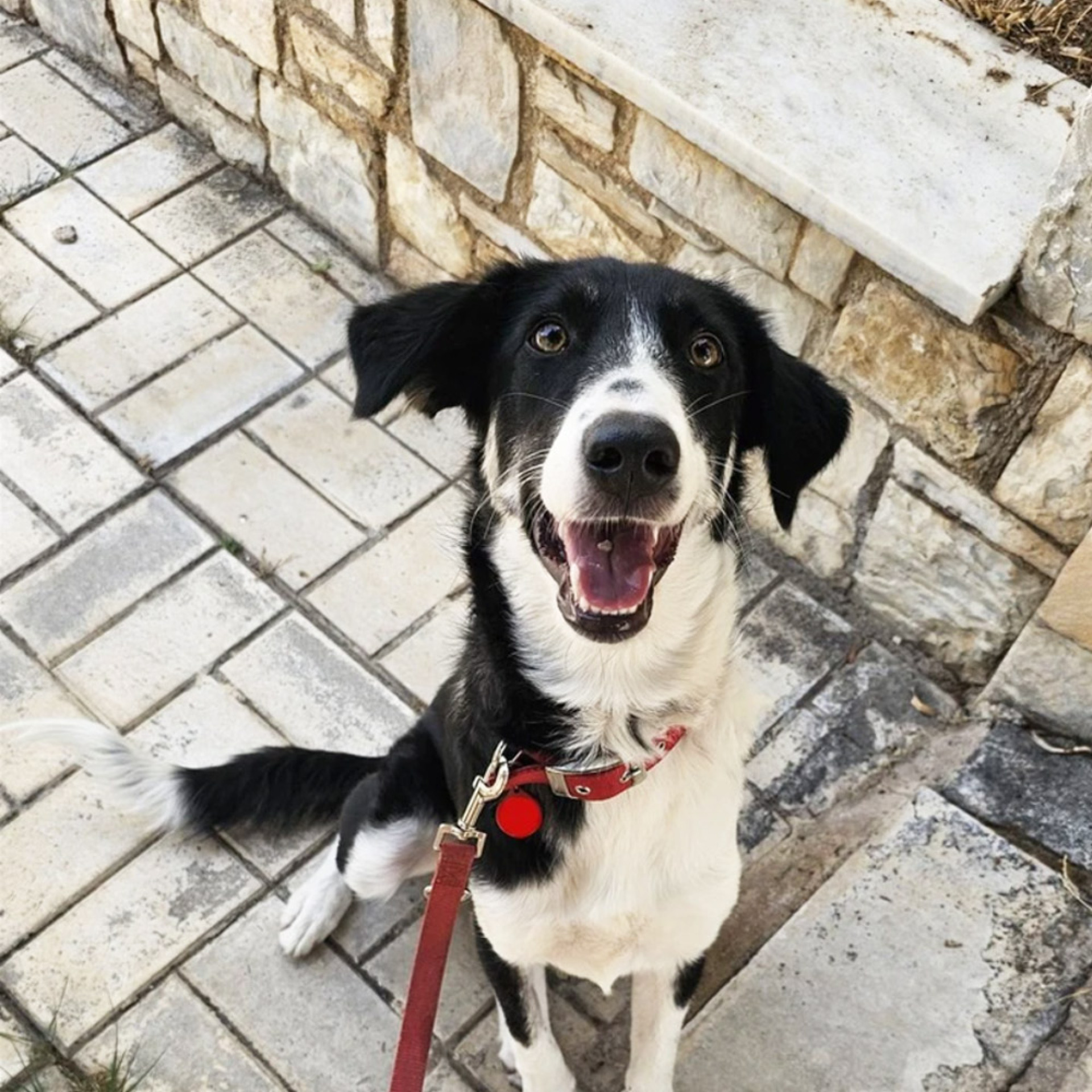 Η Καρολίνα εγκαταλείφθηκε μαζί με τα τρία αδέρφια της σε ένα χωριό της επαρχίας όταν ήταν περίπου έξι μηνών