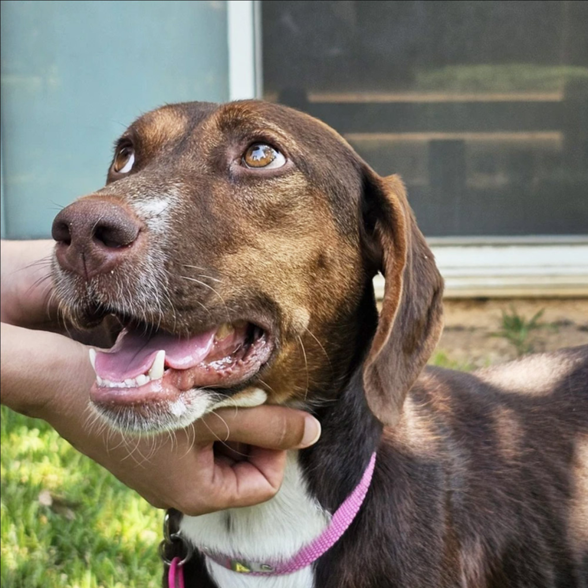 Η Τίνα πέρασε τρεις μέρες απίστευτου άγχους, γυρνώντας όλο το χωριό σε πανικό, ψάχνοντας αυτό που είχε χάσει για πάντα