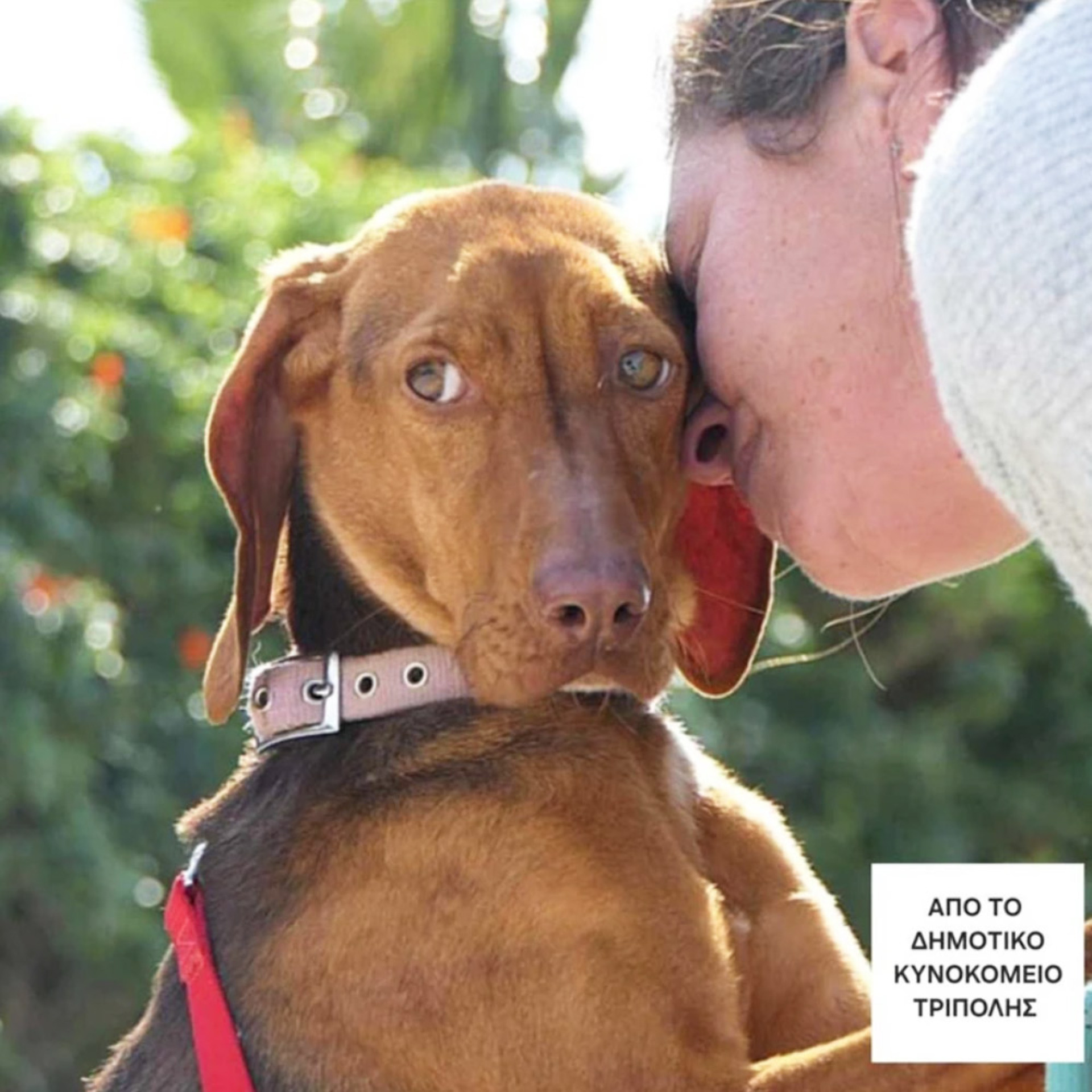 Η Όλιβ σε αγκαλιάζει τρυφερά και απαλά. Για οτιδήποτε την αγχώνει, είσαι το αποκούμι της, το στήριγμά της