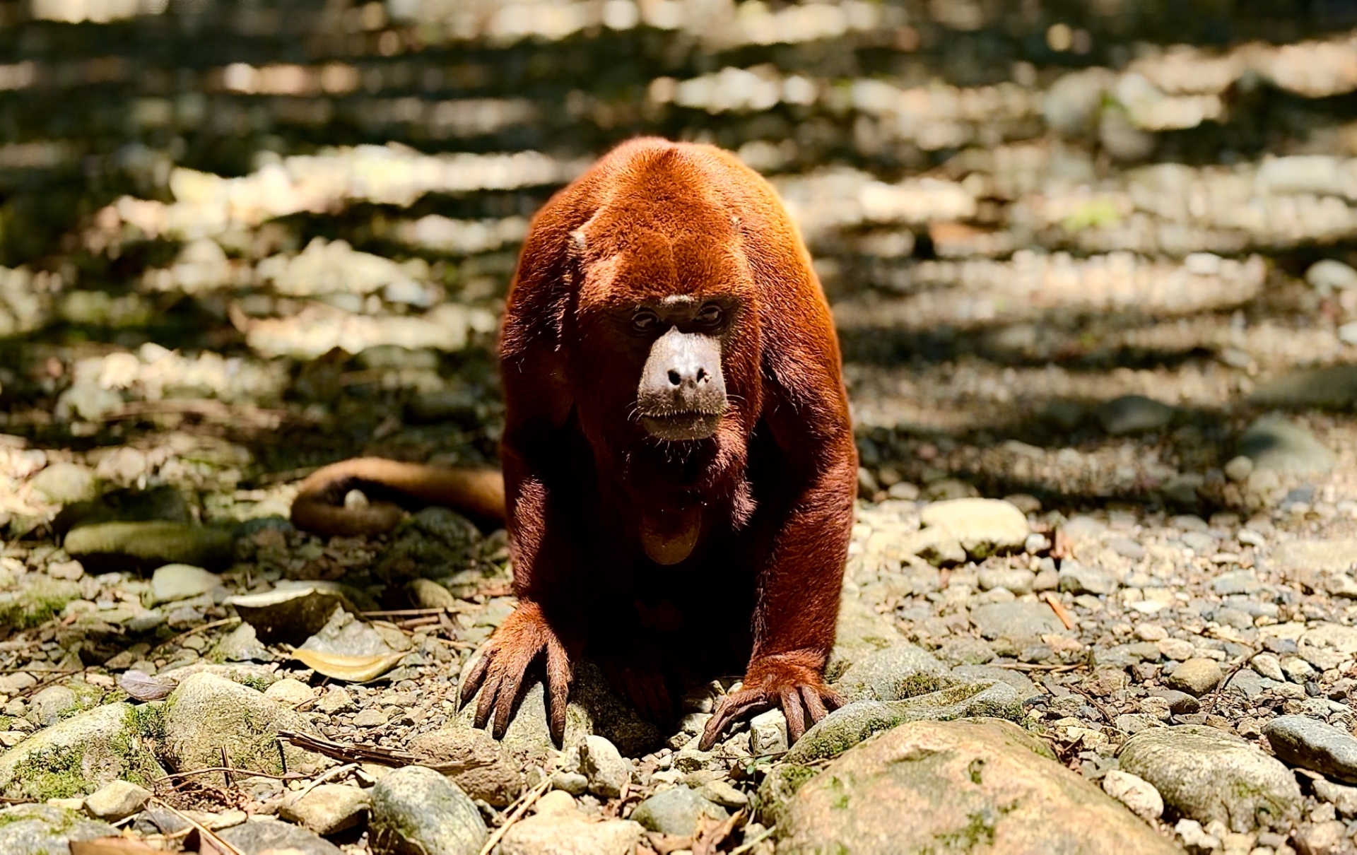 Κολομβία: Από την κόκα στο κακάο – Το οδοιπορικό του Γιώργου Ζαρζώνη