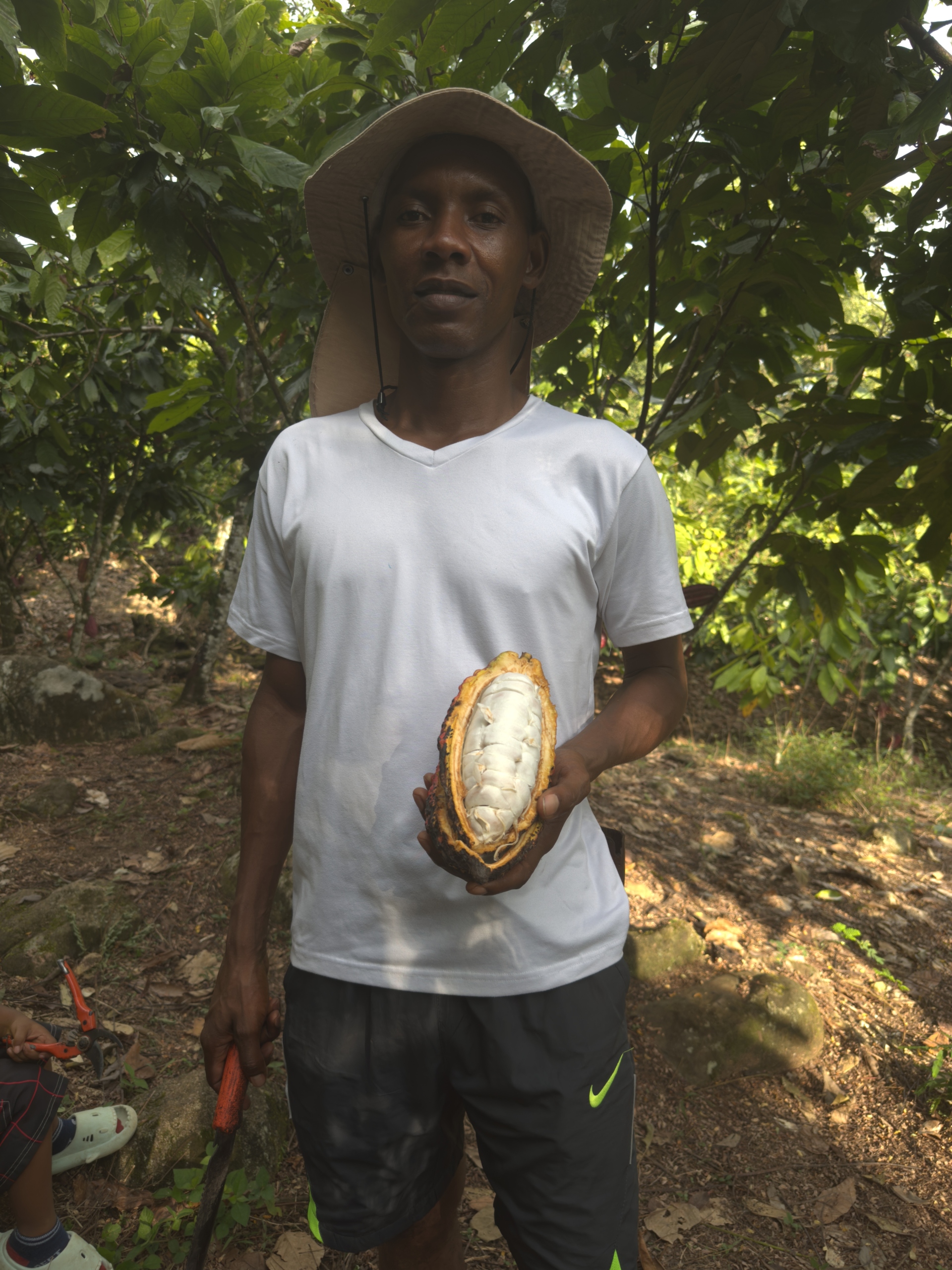 Κολομβία: Από την κόκα στο κακάο – Το οδοιπορικό του Γιώργου Ζαρζώνη